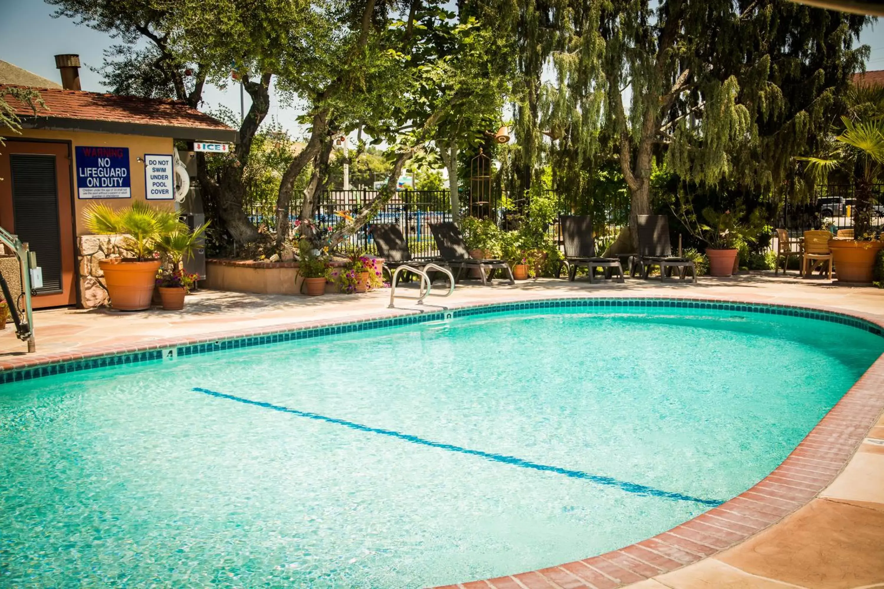 Swimming Pool in Adelaide Inn