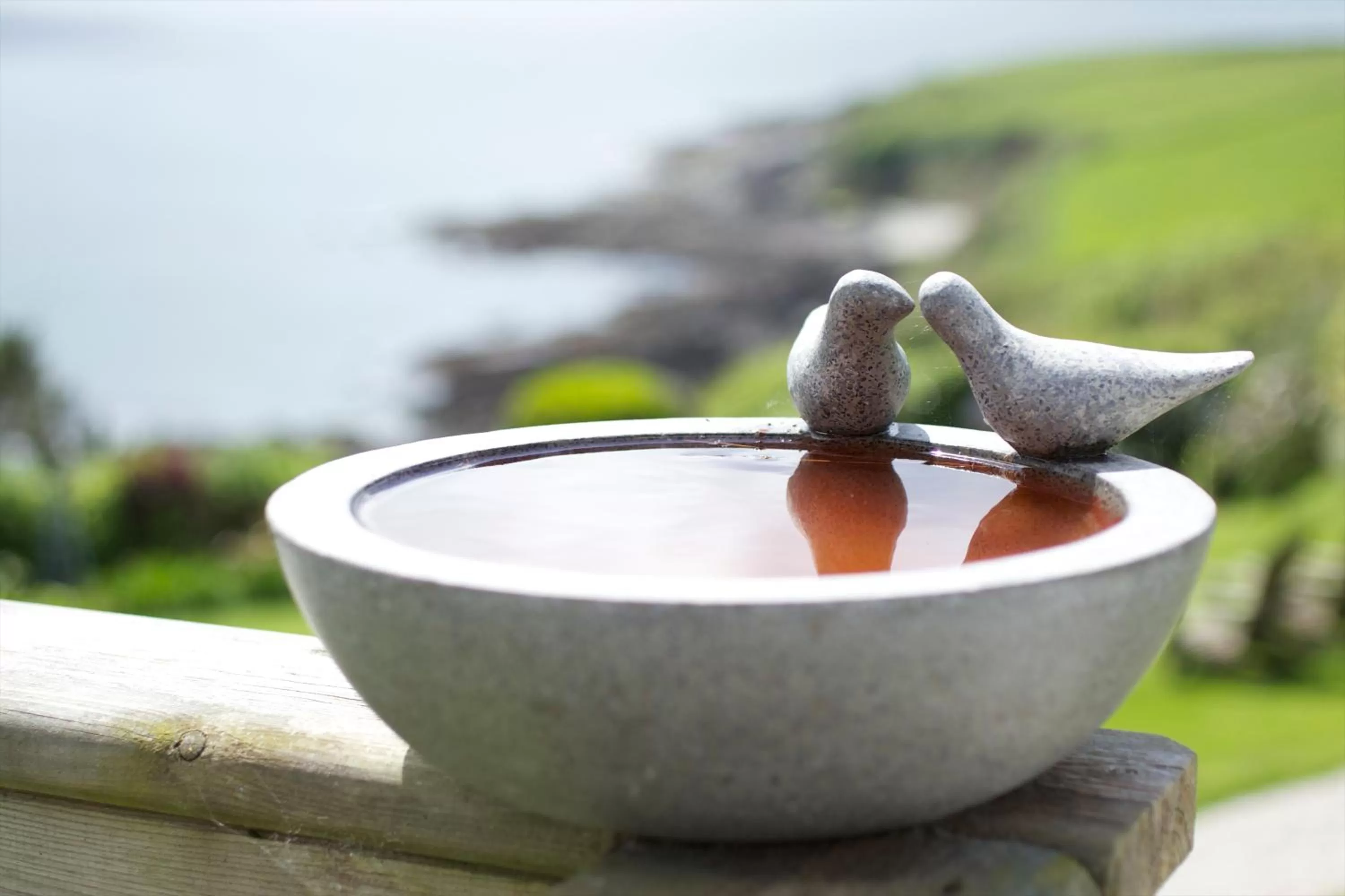 View (from property/room) in Driftwood B&B