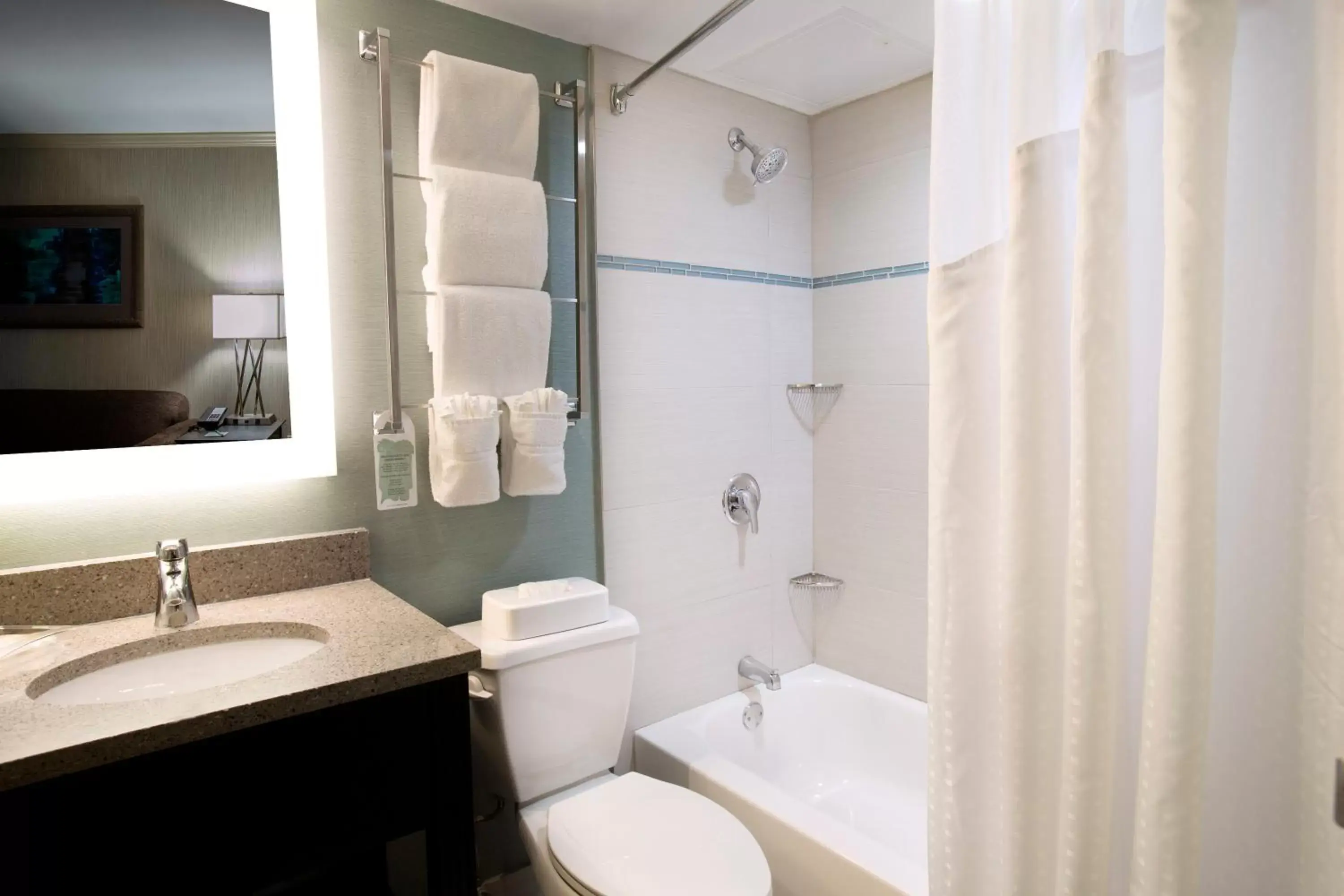 Bathroom in Holiday Inn Columbus Dwtn-Capitol Square, an IHG Hotel