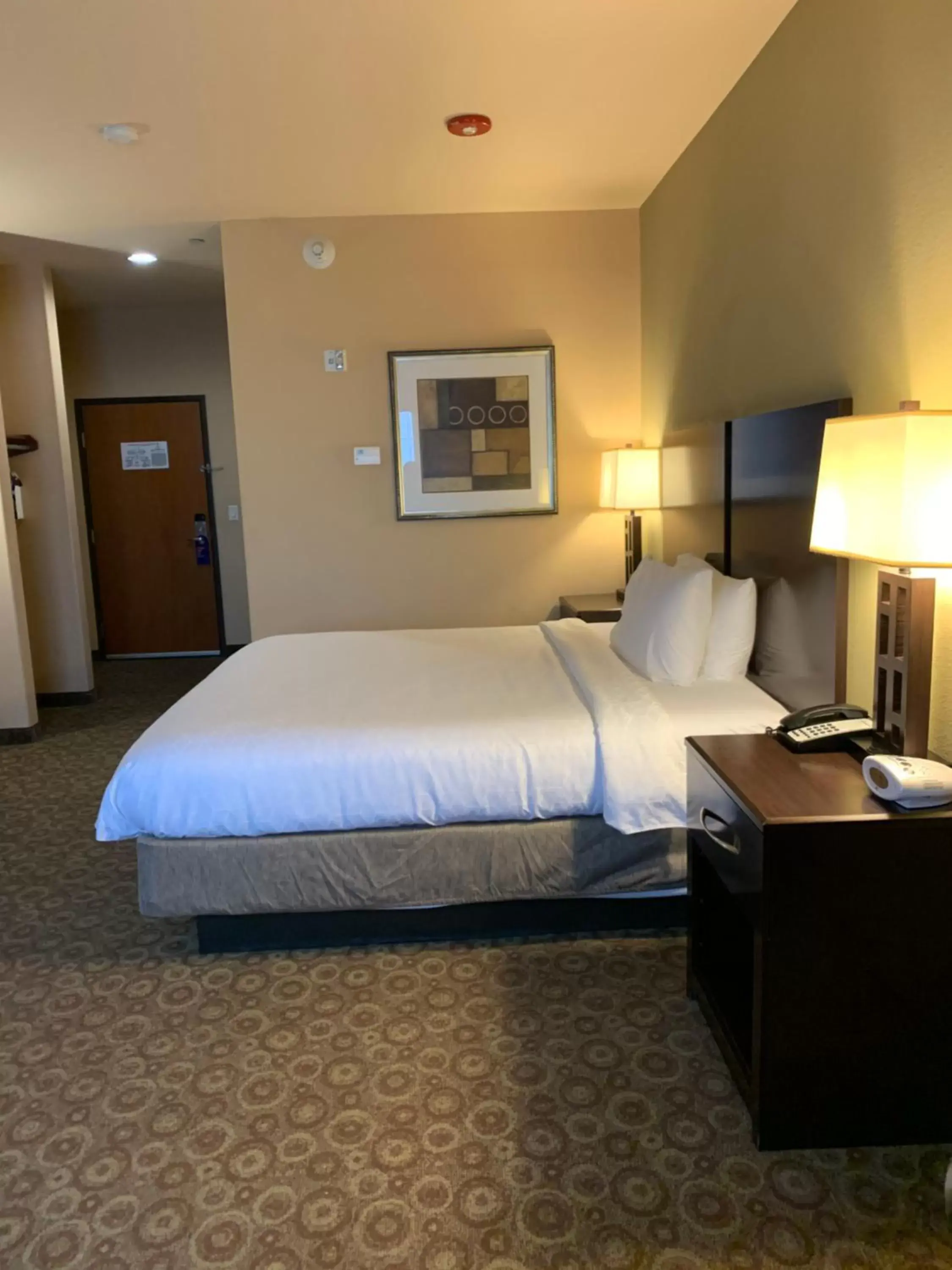 Bed in Holiday Inn Express & Suites Pecos, an IHG Hotel