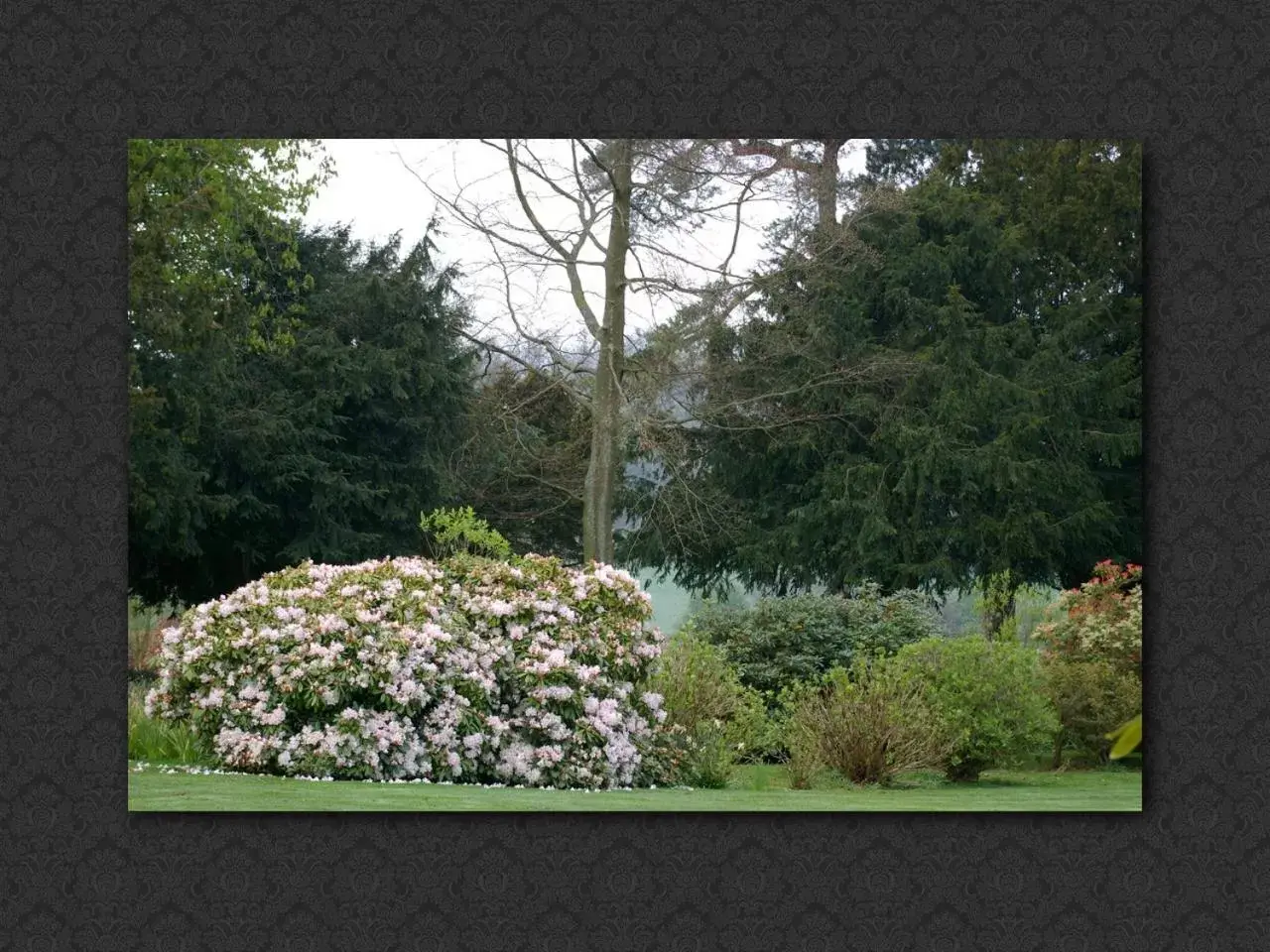 Garden in Langrish House