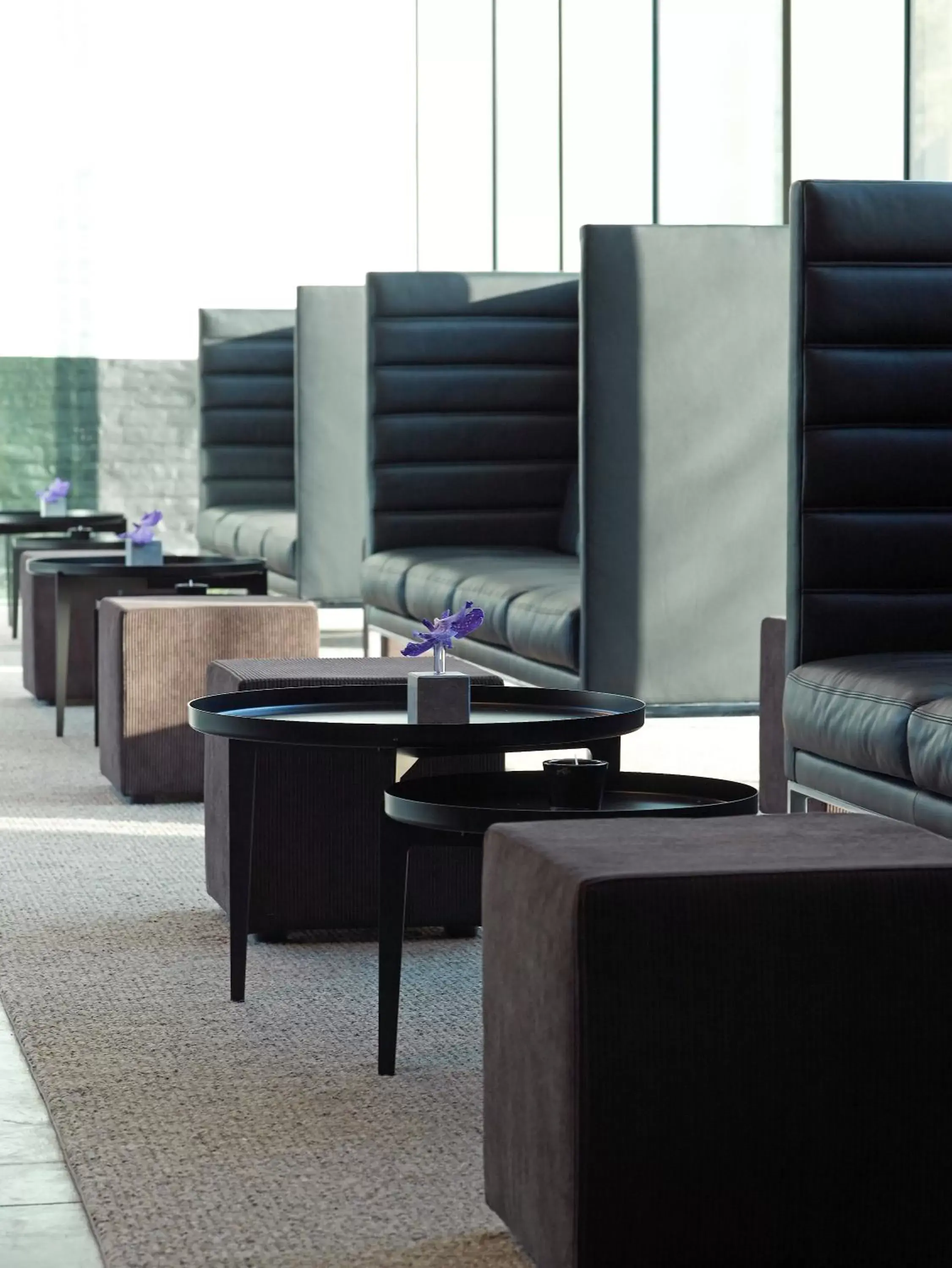 Lounge or bar, Seating Area in D-Hotel