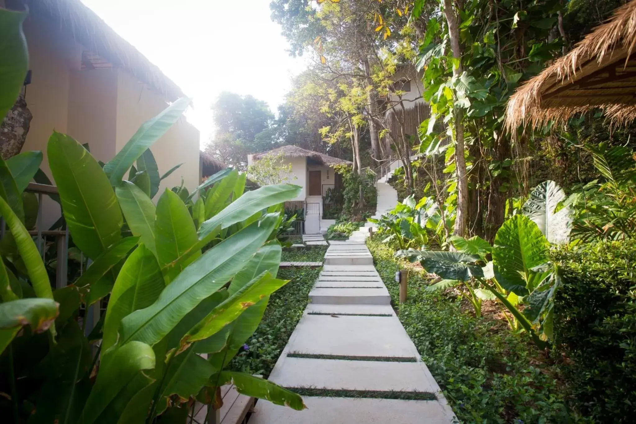 Property building, Garden in The Nest Private Beach Resort