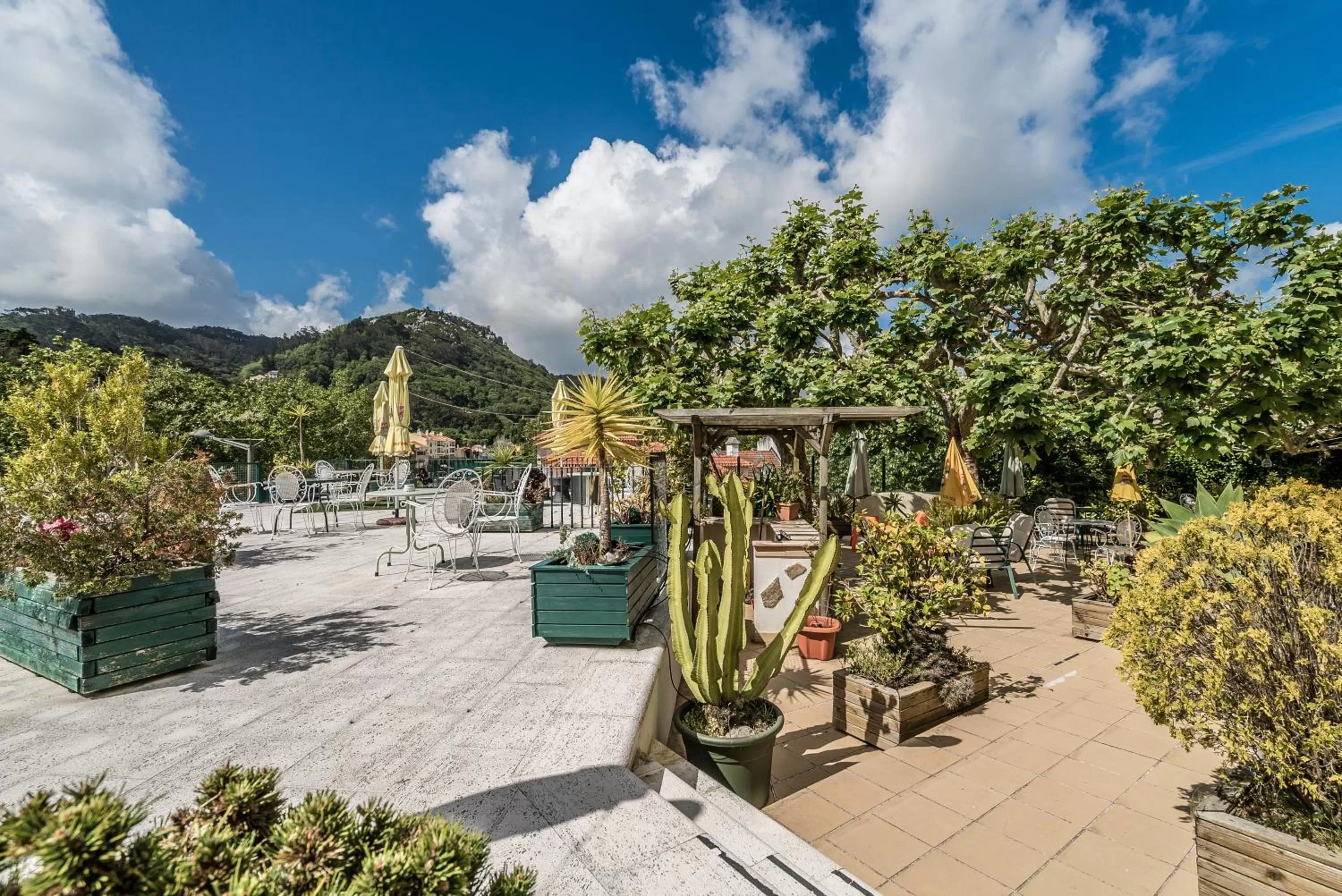 Garden in Hotel Nova Sintra - Adults only