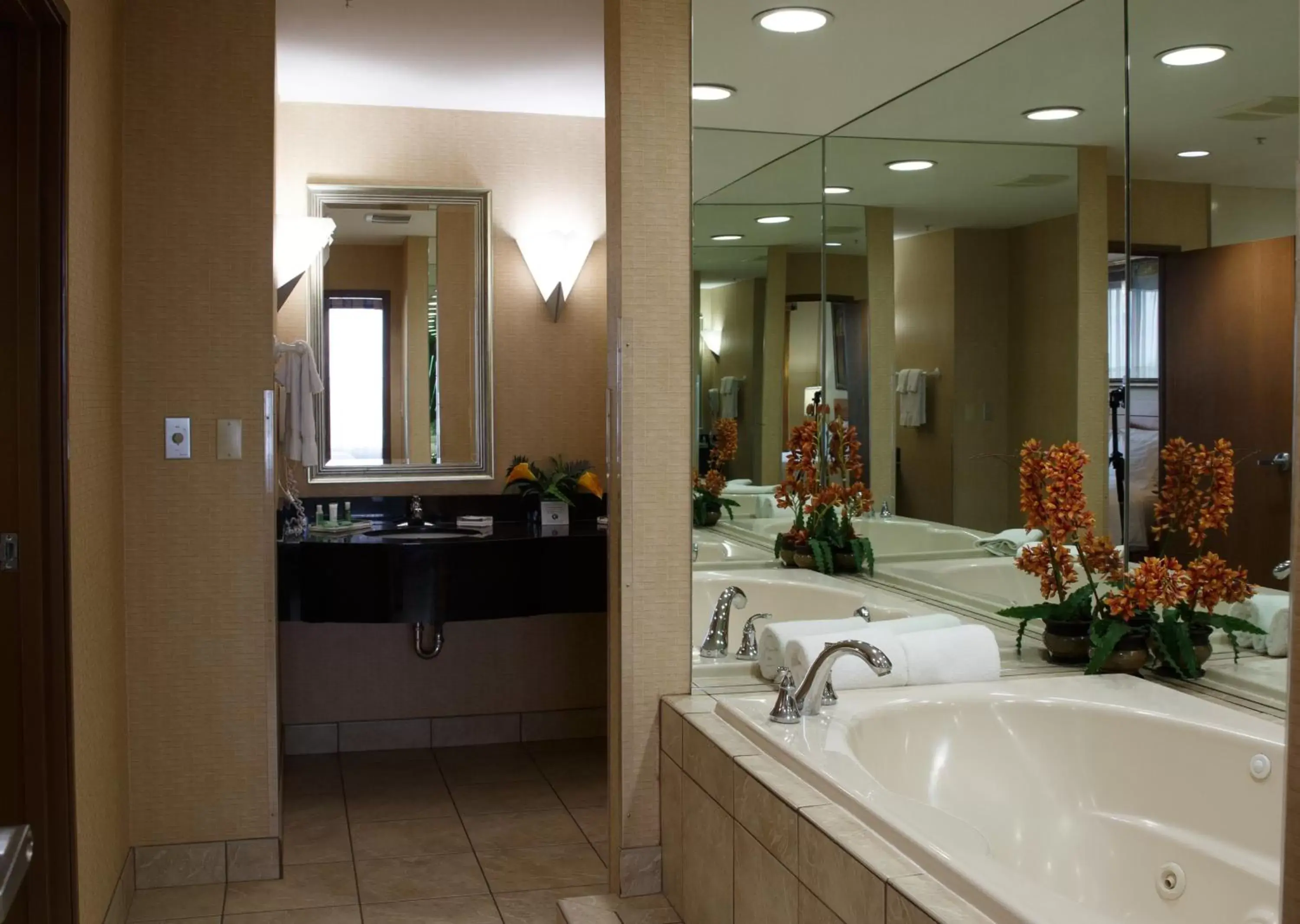 Bathroom in Holiday Inn Battle Creek, an IHG Hotel