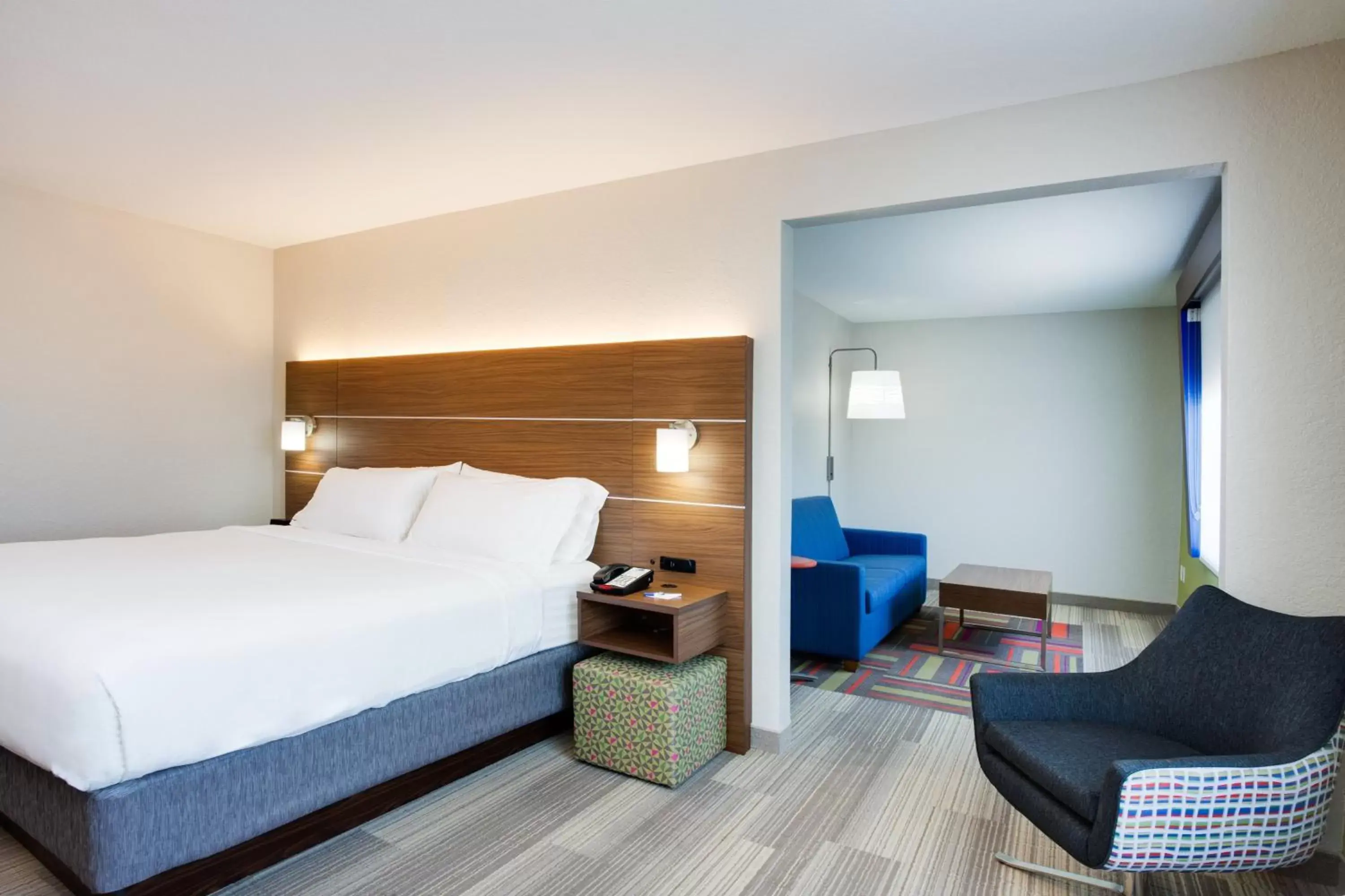 Photo of the whole room, Bed in Holiday Inn Express Hotel & Suites Tampa-Fairgrounds-Casino, an IHG Hotel