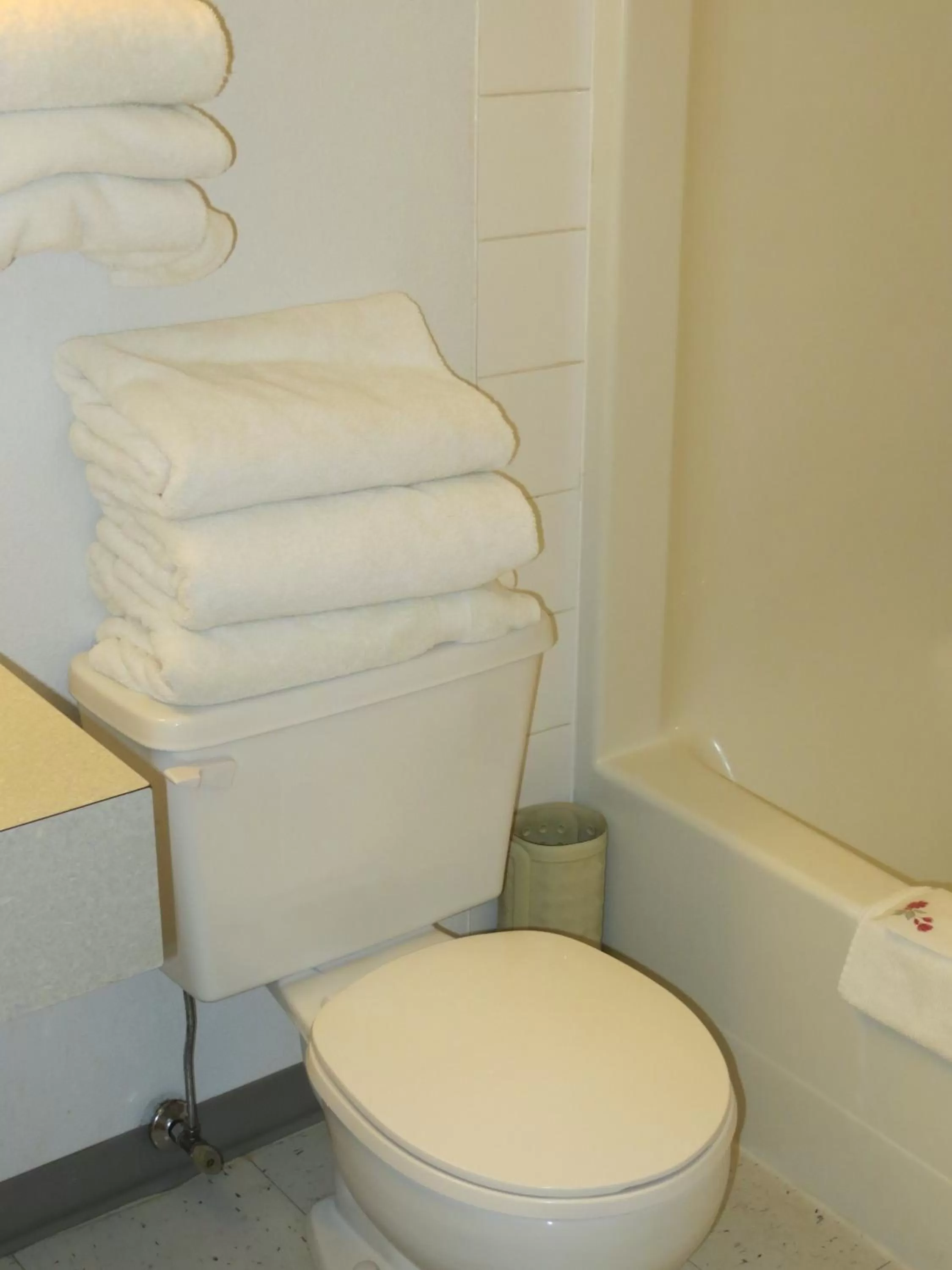 Toilet in Lazy J Motel