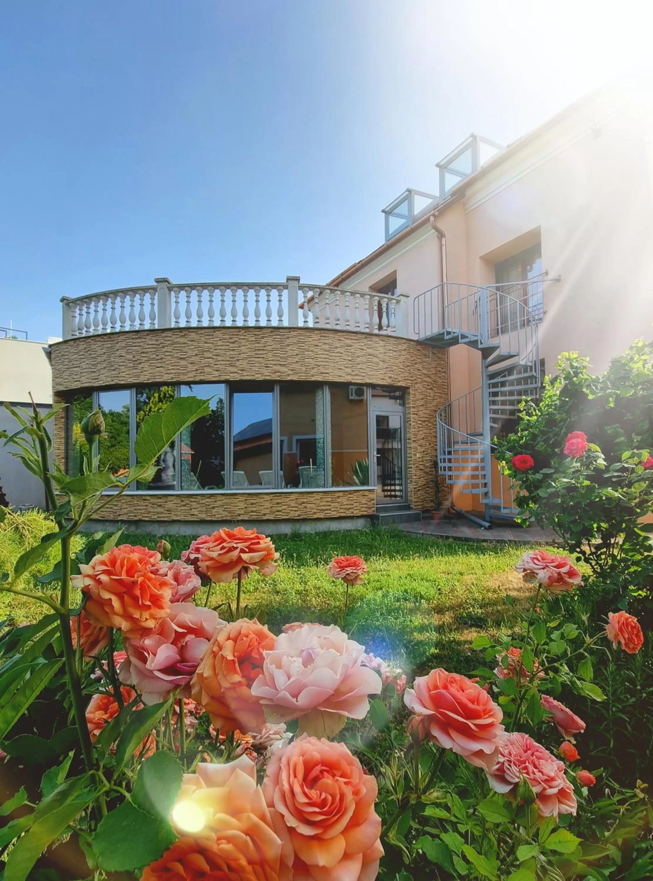 Garden in Hotel Viktória