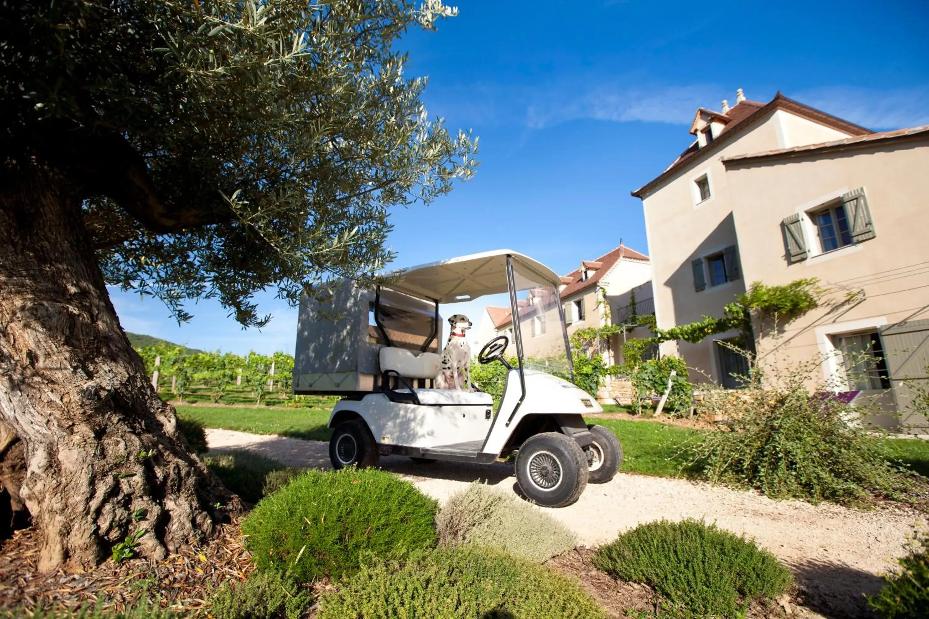 Facade/entrance, Property Building in Hôtel-Spa Le Saint Cirq