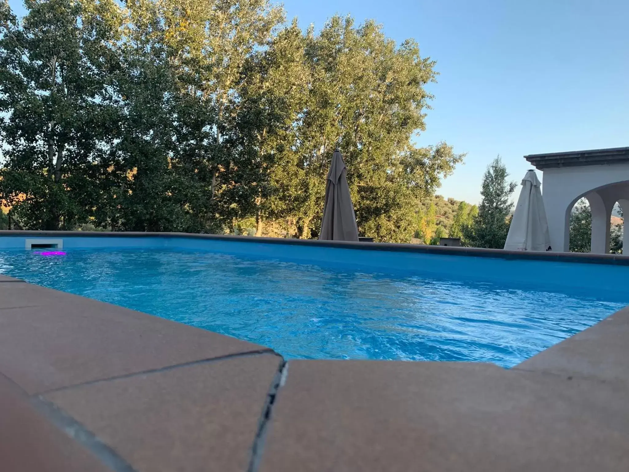 Swimming Pool in Hotel Arco del Sol