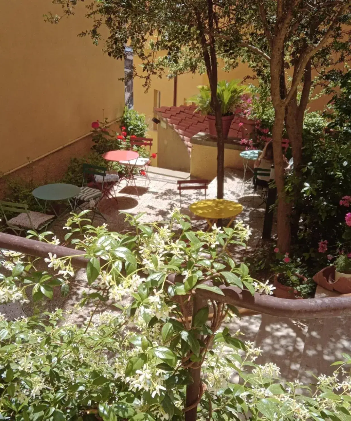 Day, Garden in Hotel Minerva