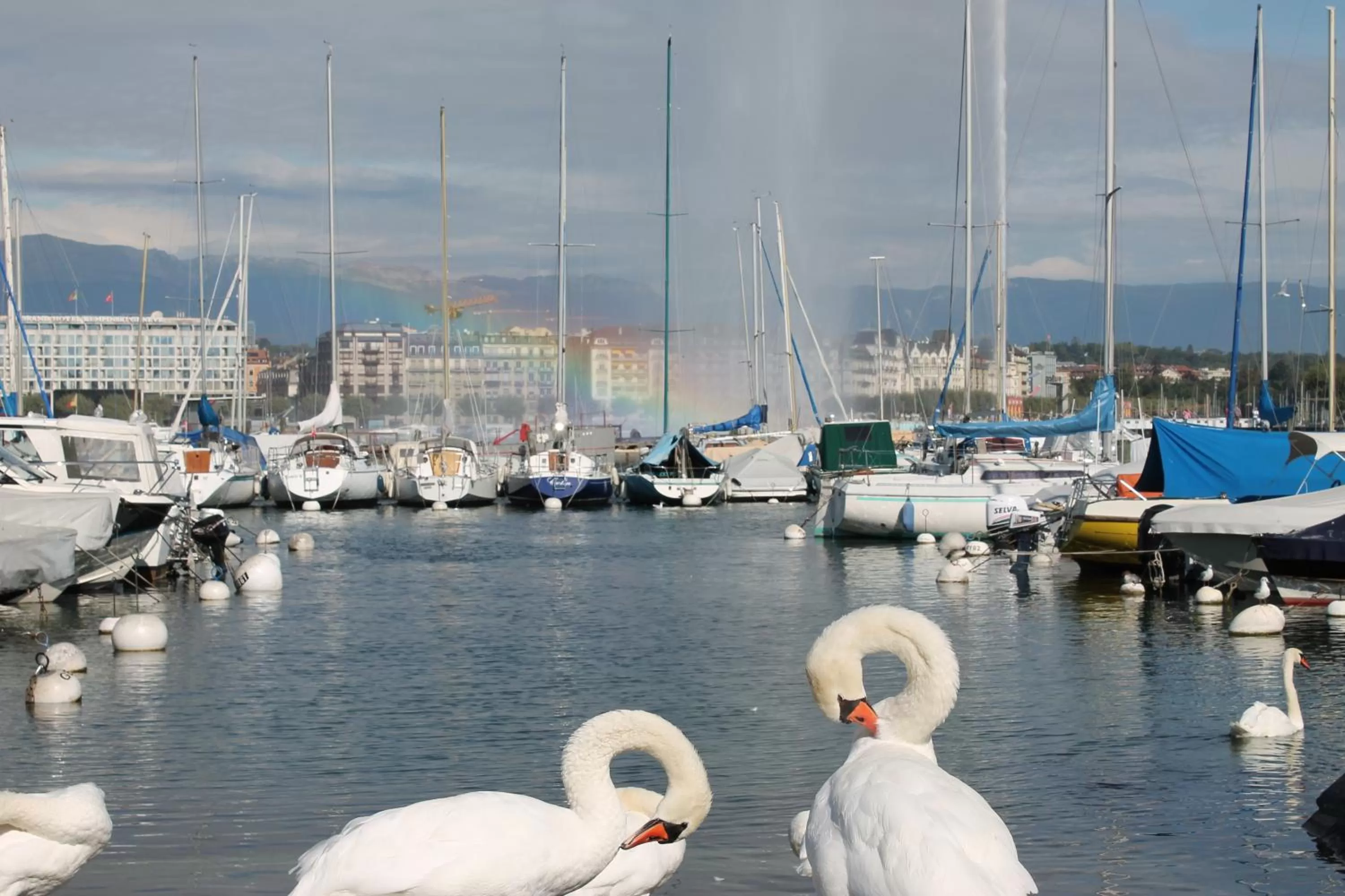 Neighbourhood in The Ambassador