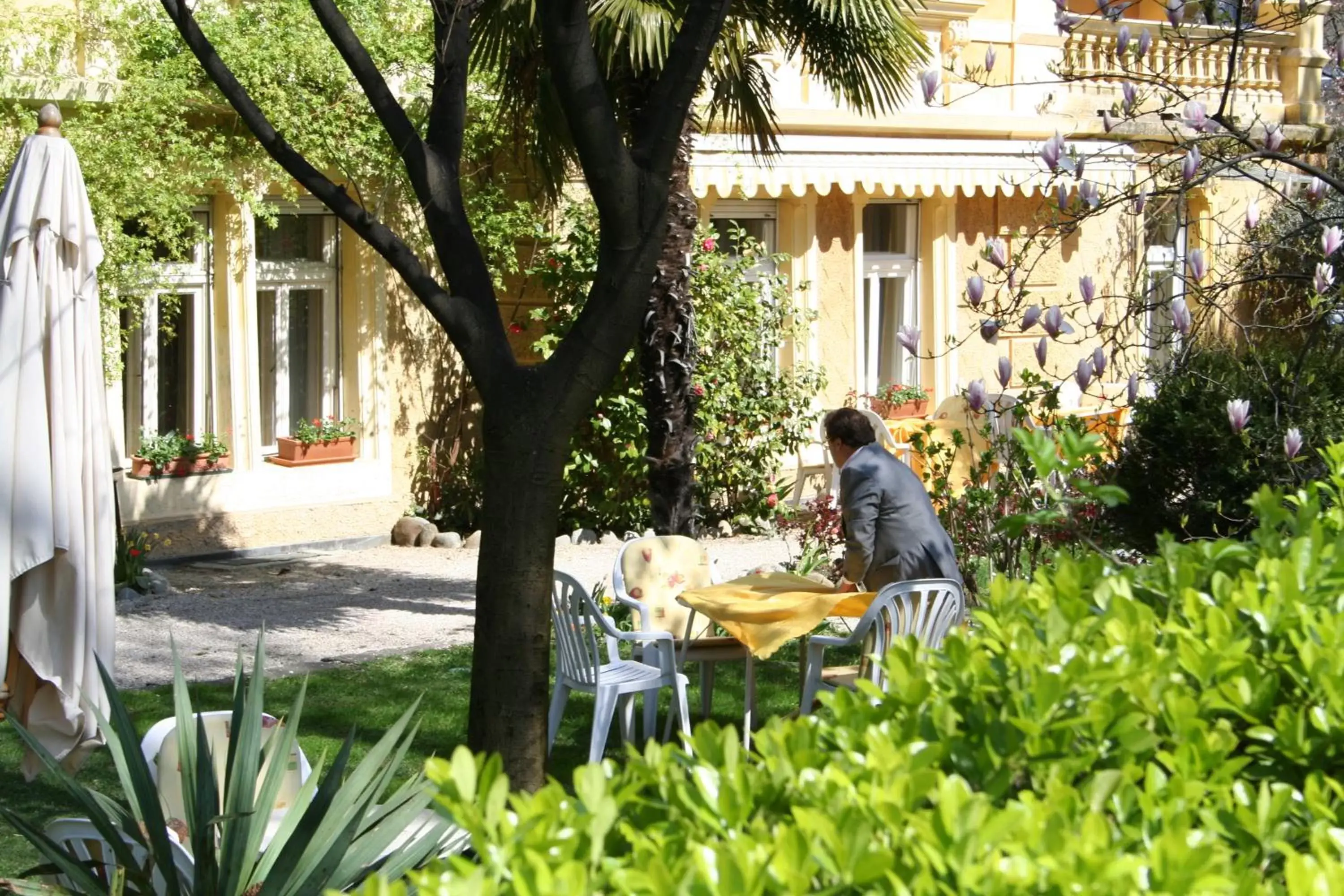 Garden in Hotel Villa Westend