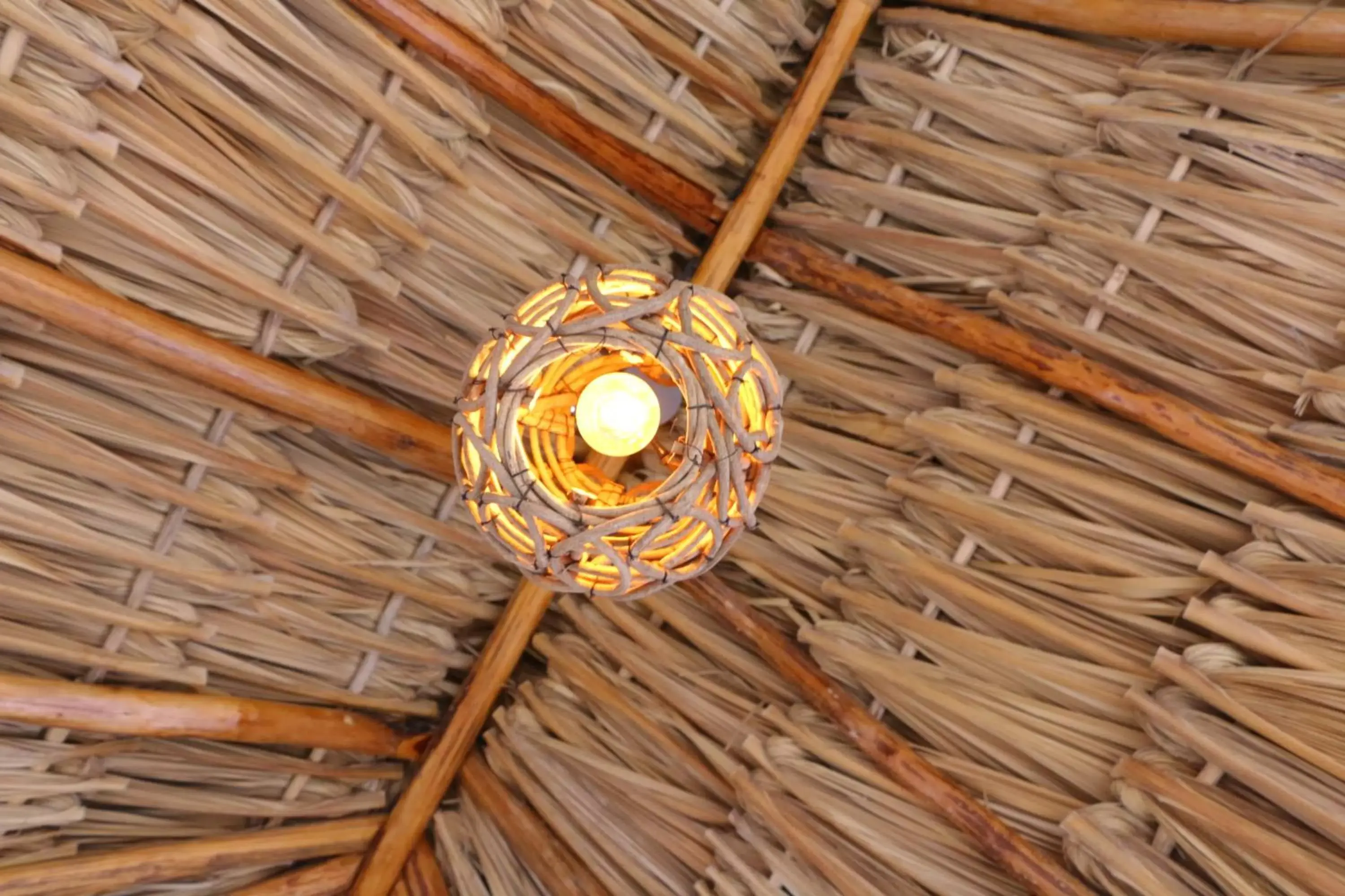 Bird's eye view in WishTulum