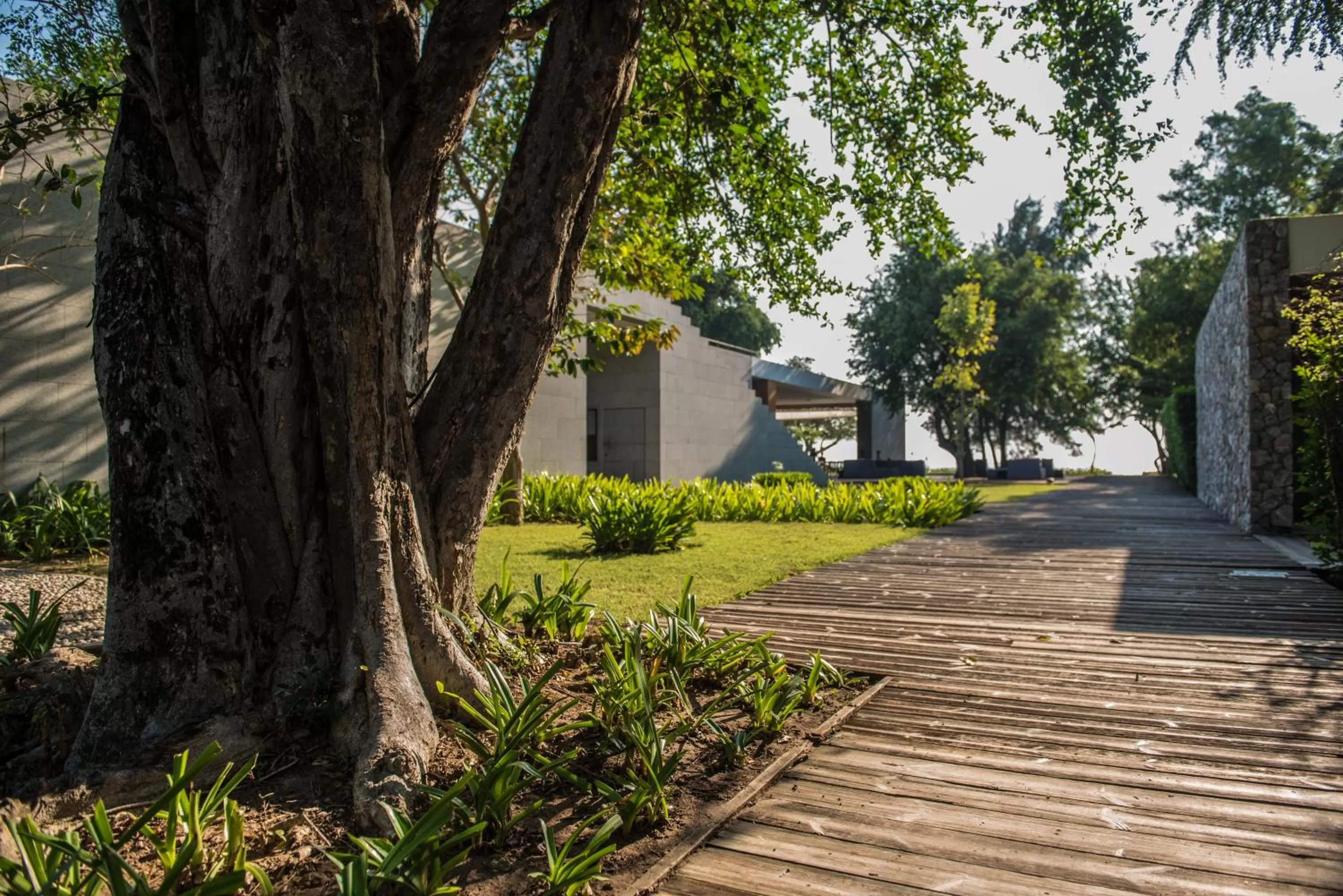 Day in Tolani Resort Kui Buri