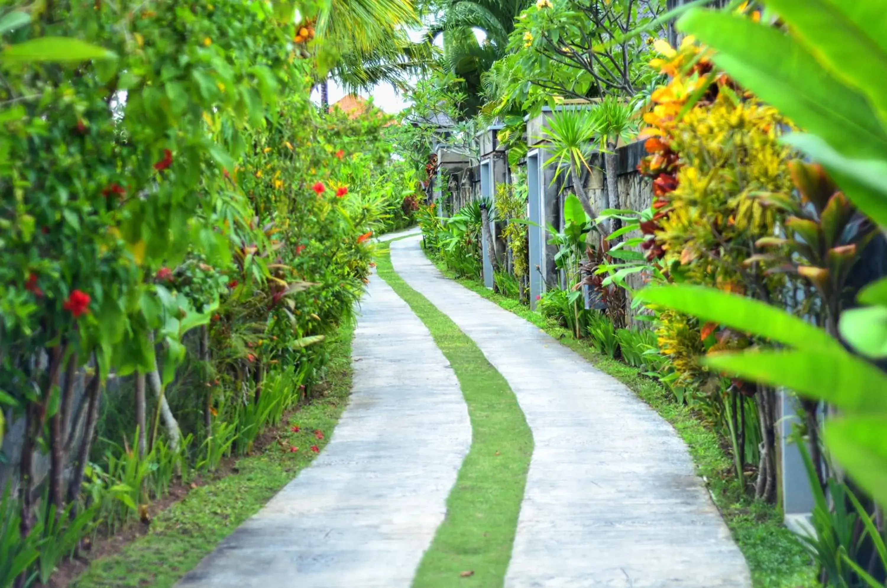 Garden in The Bidadari Villas and Spa