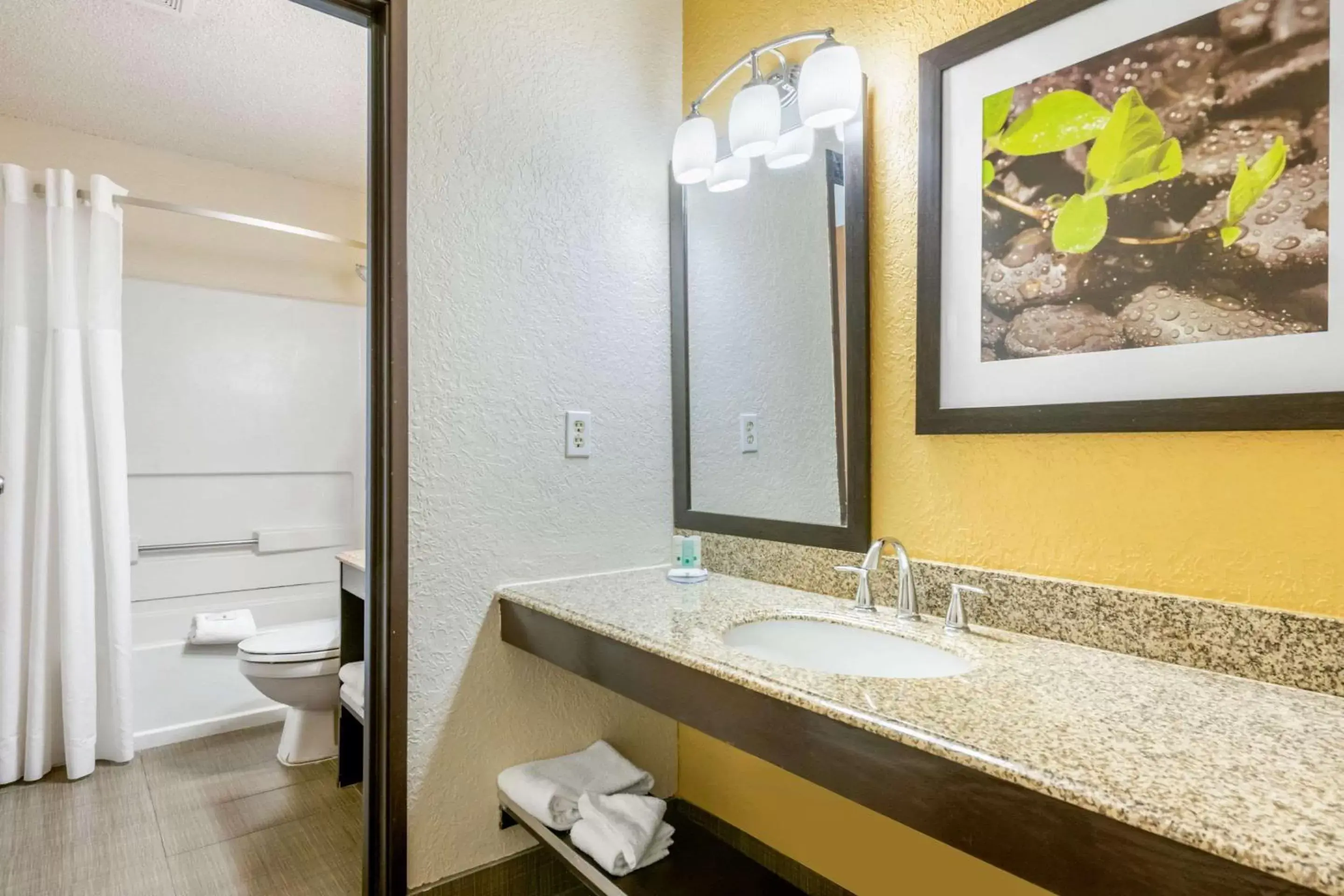 Photo of the whole room, Bathroom in Quality Inn & Suites Leesburg Chain of Lakes