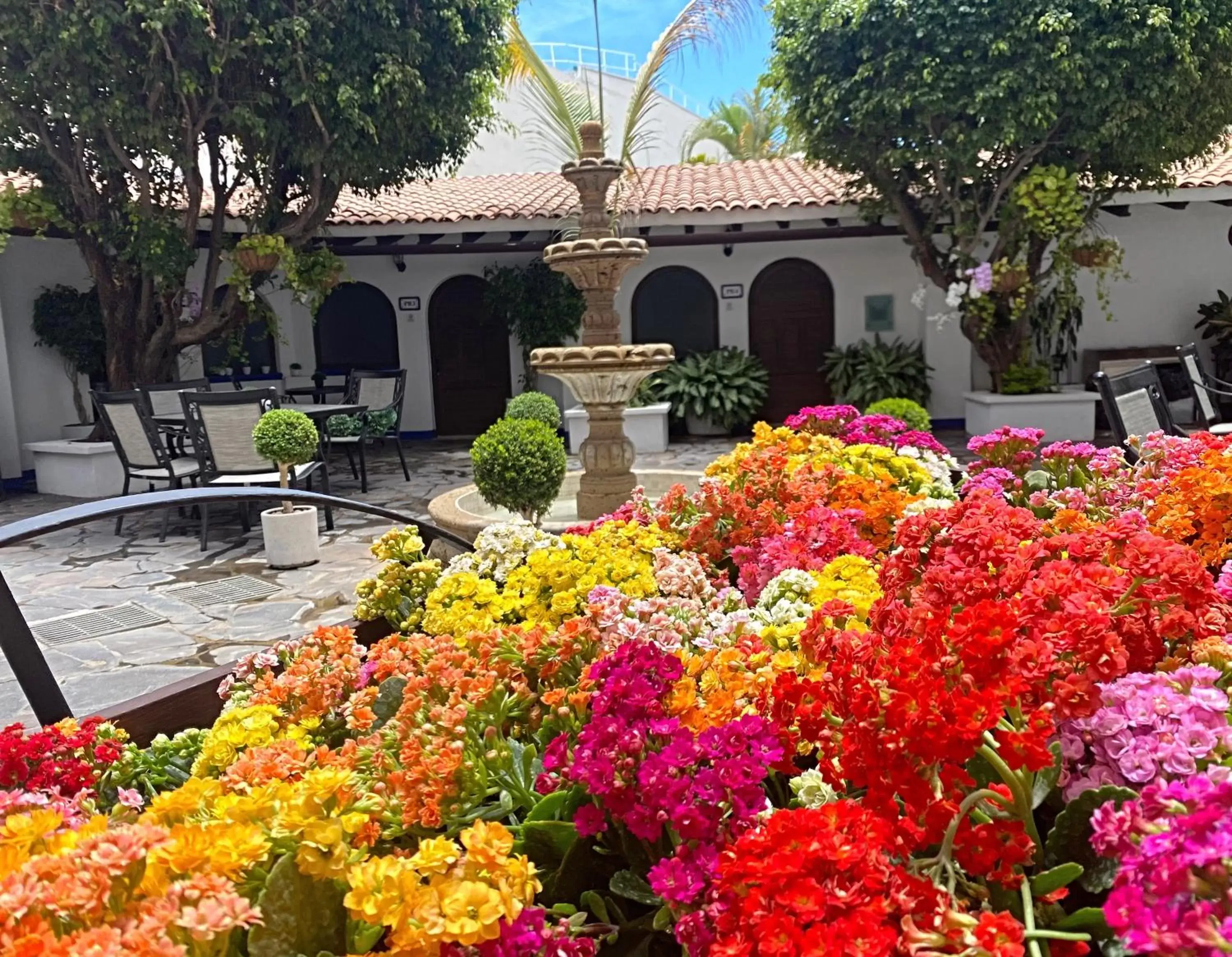 Patio in Hotel Suites Mar Elena