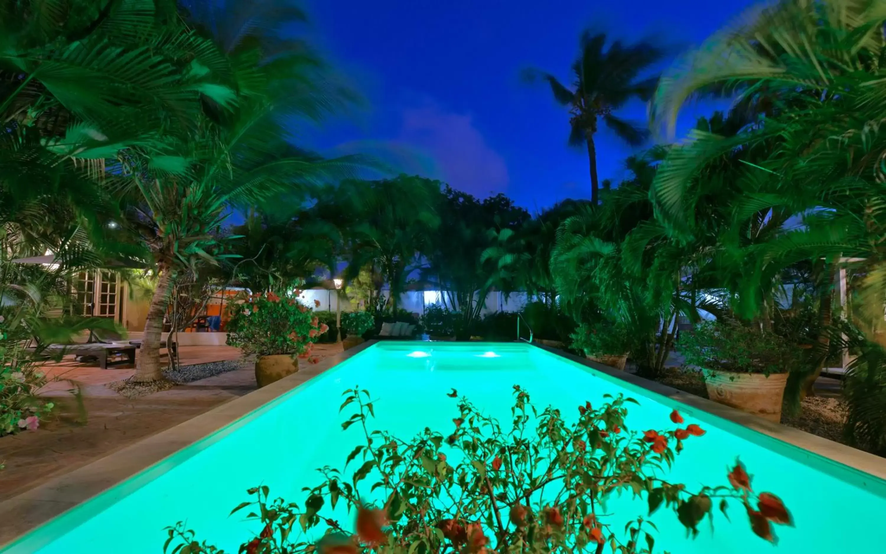 Night, Swimming Pool in Wonders Boutique Hotel