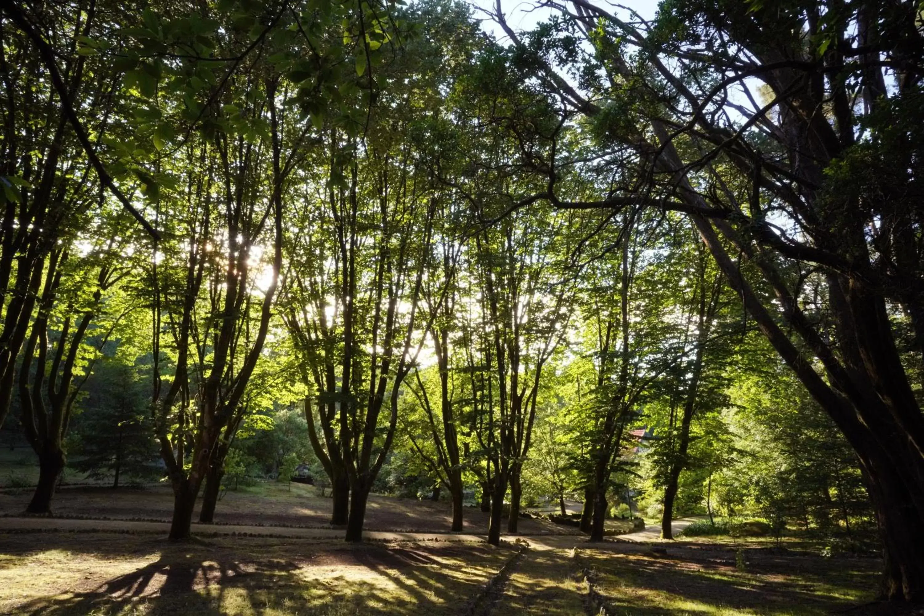 Natural landscape in The Grove Houses