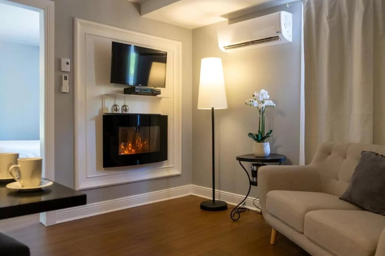 TV/Entertainment Center in Auberge Nuits de St-Georges