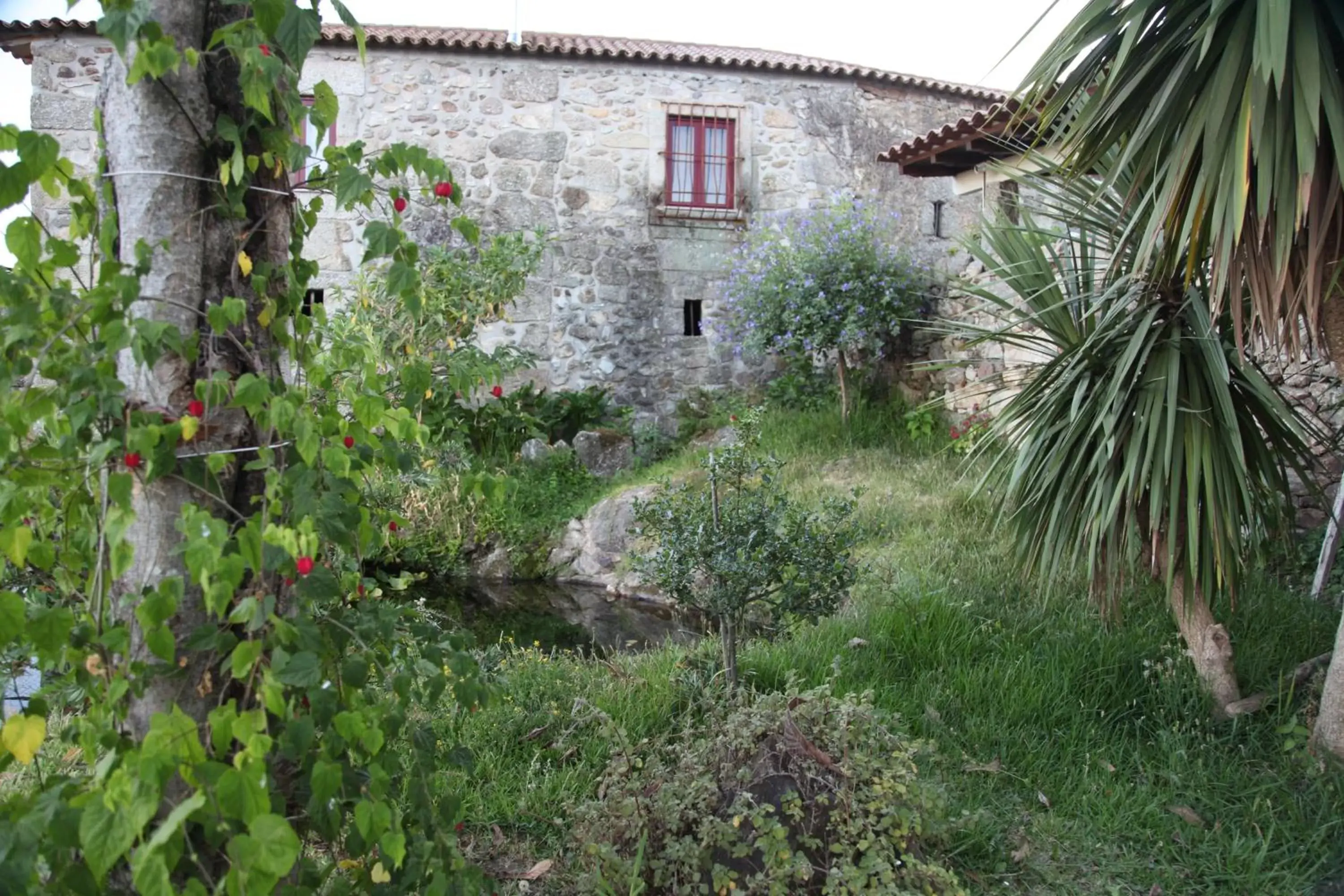 Garden, Property Building in Quinta Pedras De Baixo
