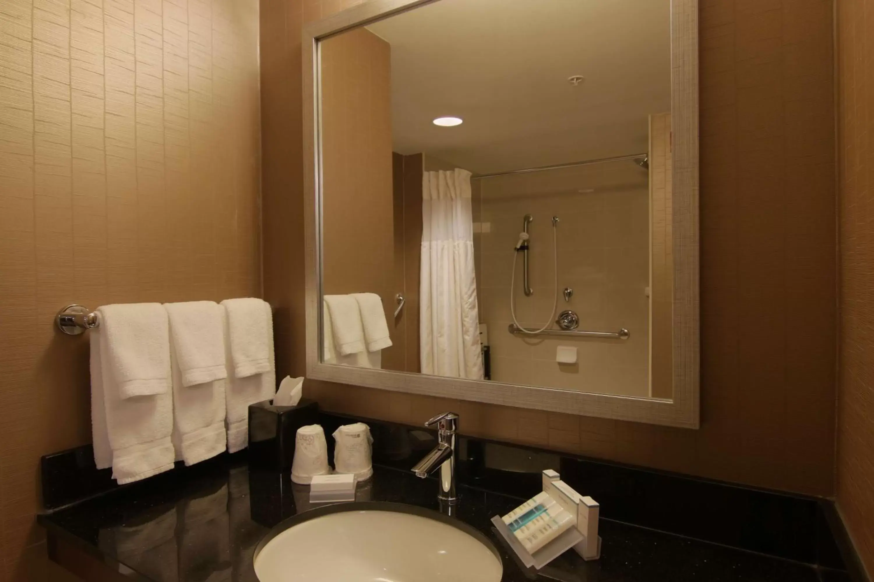 Bathroom in Hilton Garden Inn Toronto/Brampton