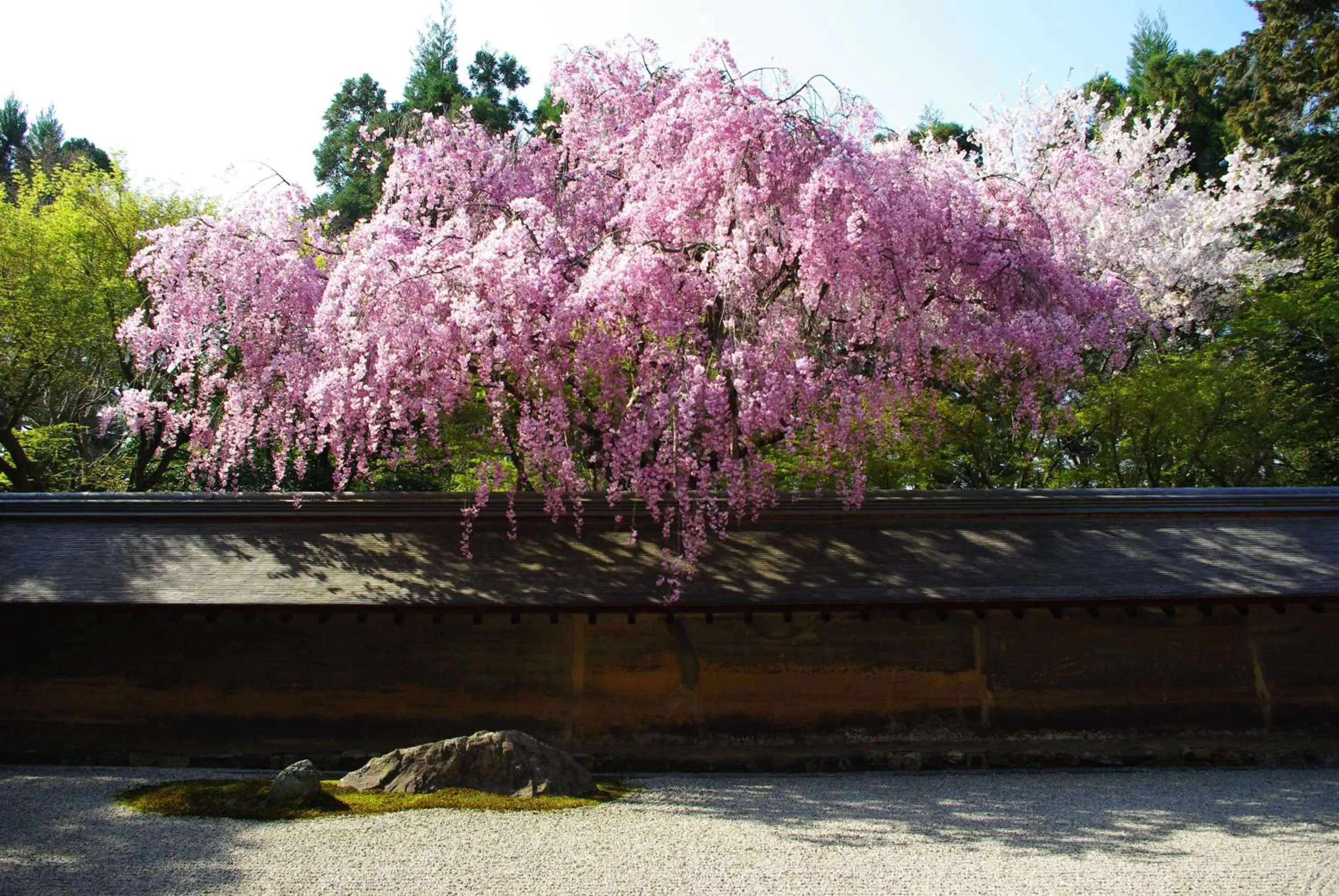 Nearby landmark in Hotel Keihan Kyoto Ekiminami