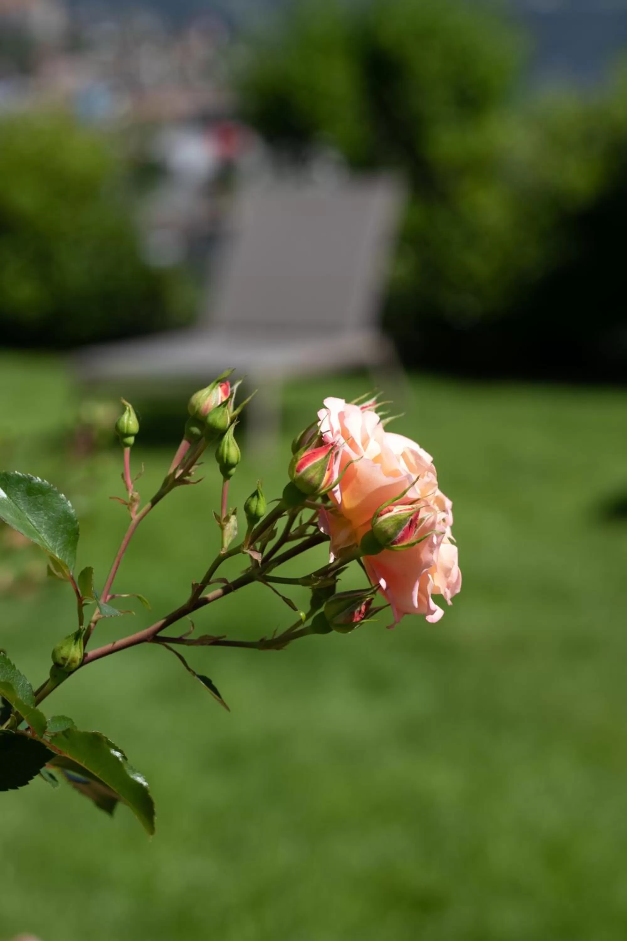 Garden in Residence Margreth