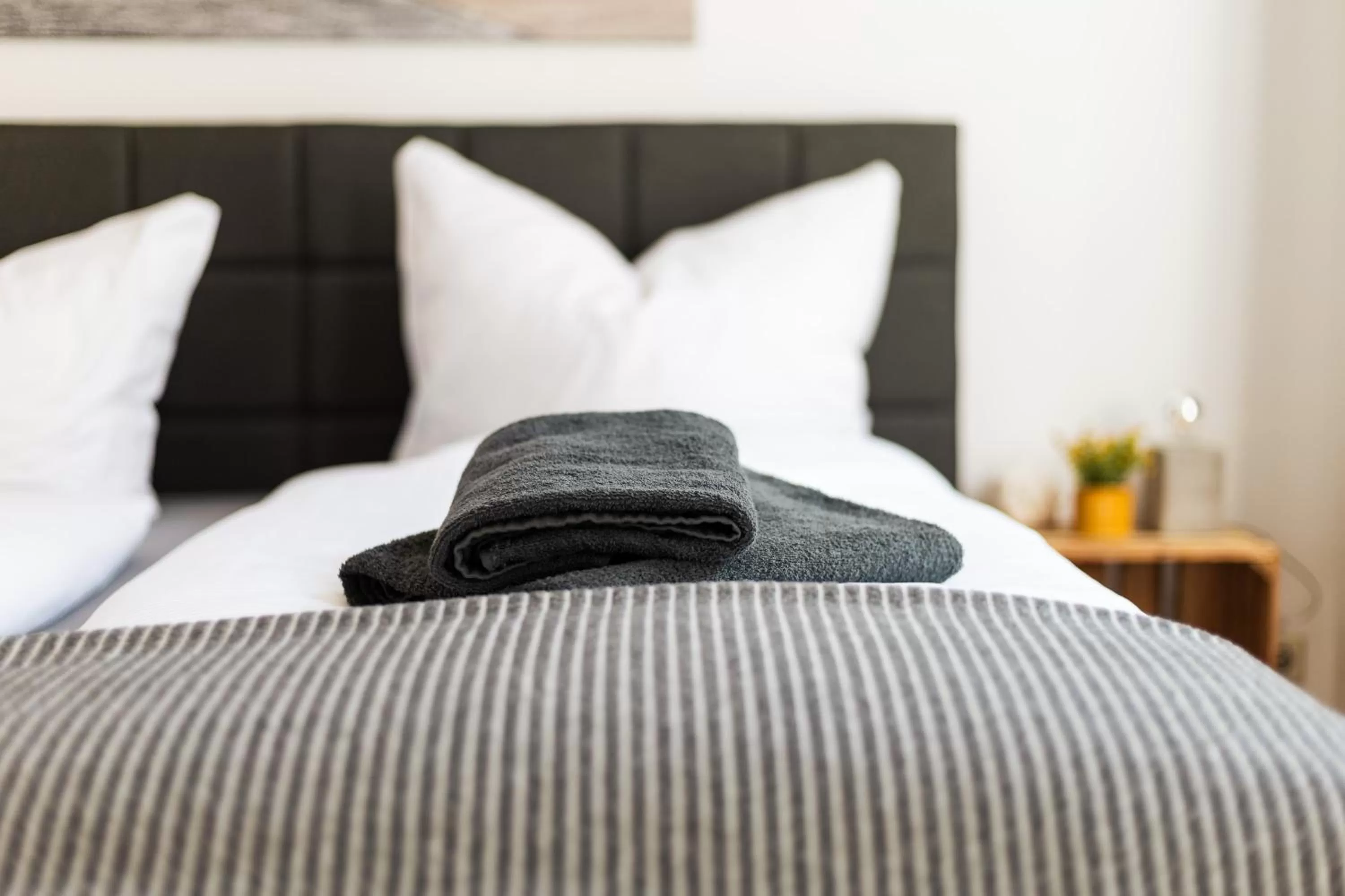 Bed in Apartments an der Oper - Innenstadt - Zentral - Küche - Wifi - Powered by Ko-Living