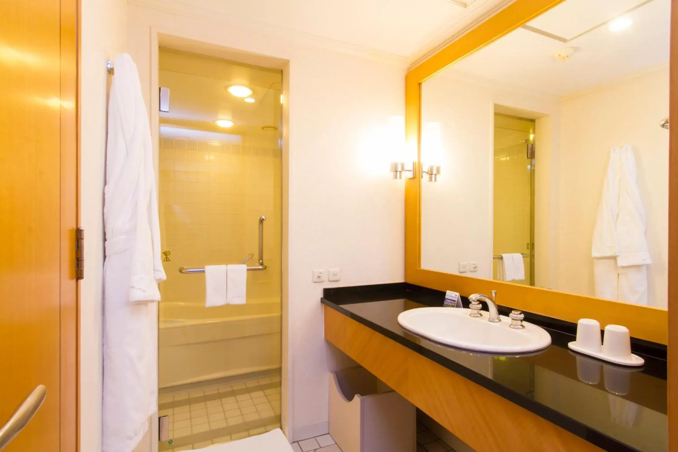 Bathroom in Hotel Nikko Kumamoto