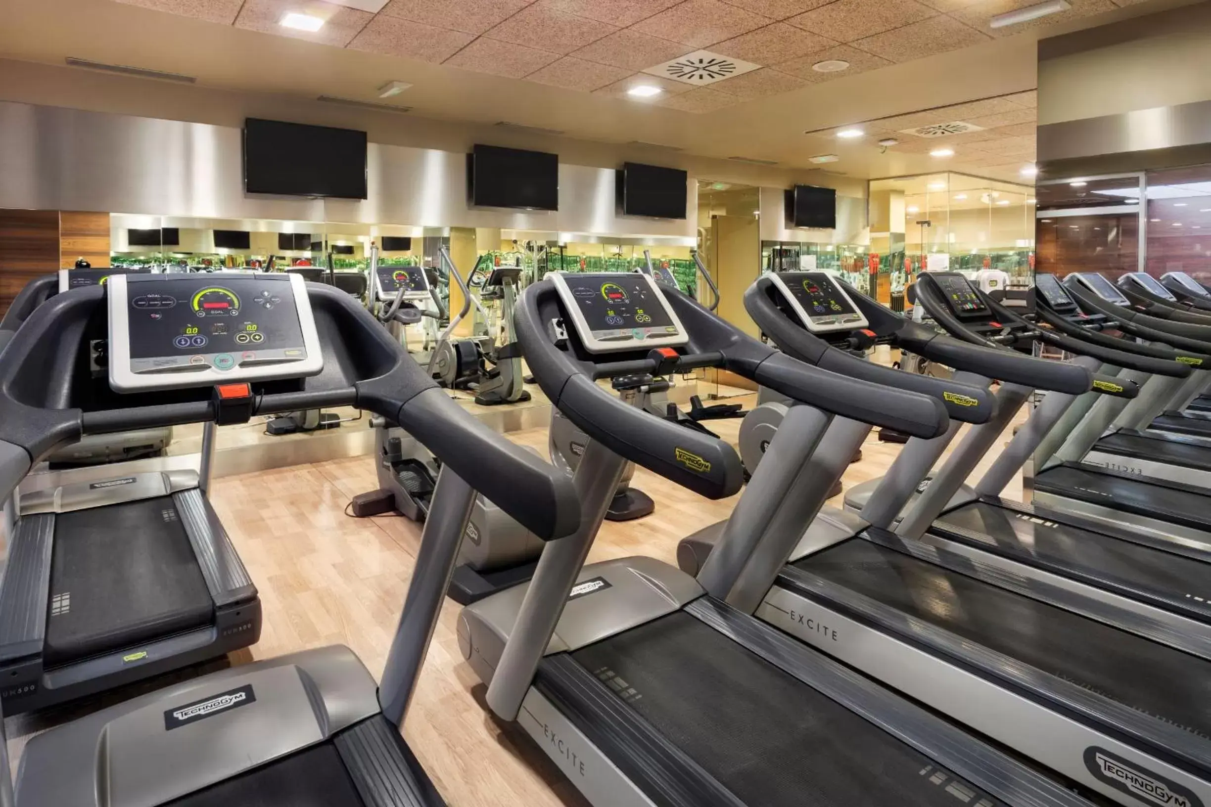 Fitness centre/facilities, Fitness Center/Facilities in Melia Avenida de America