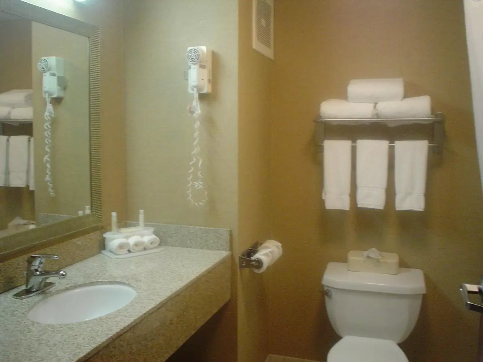Bathroom in Holiday Inn Express Hotel & Suites Delaware-Columbus Area, an IHG Hotel