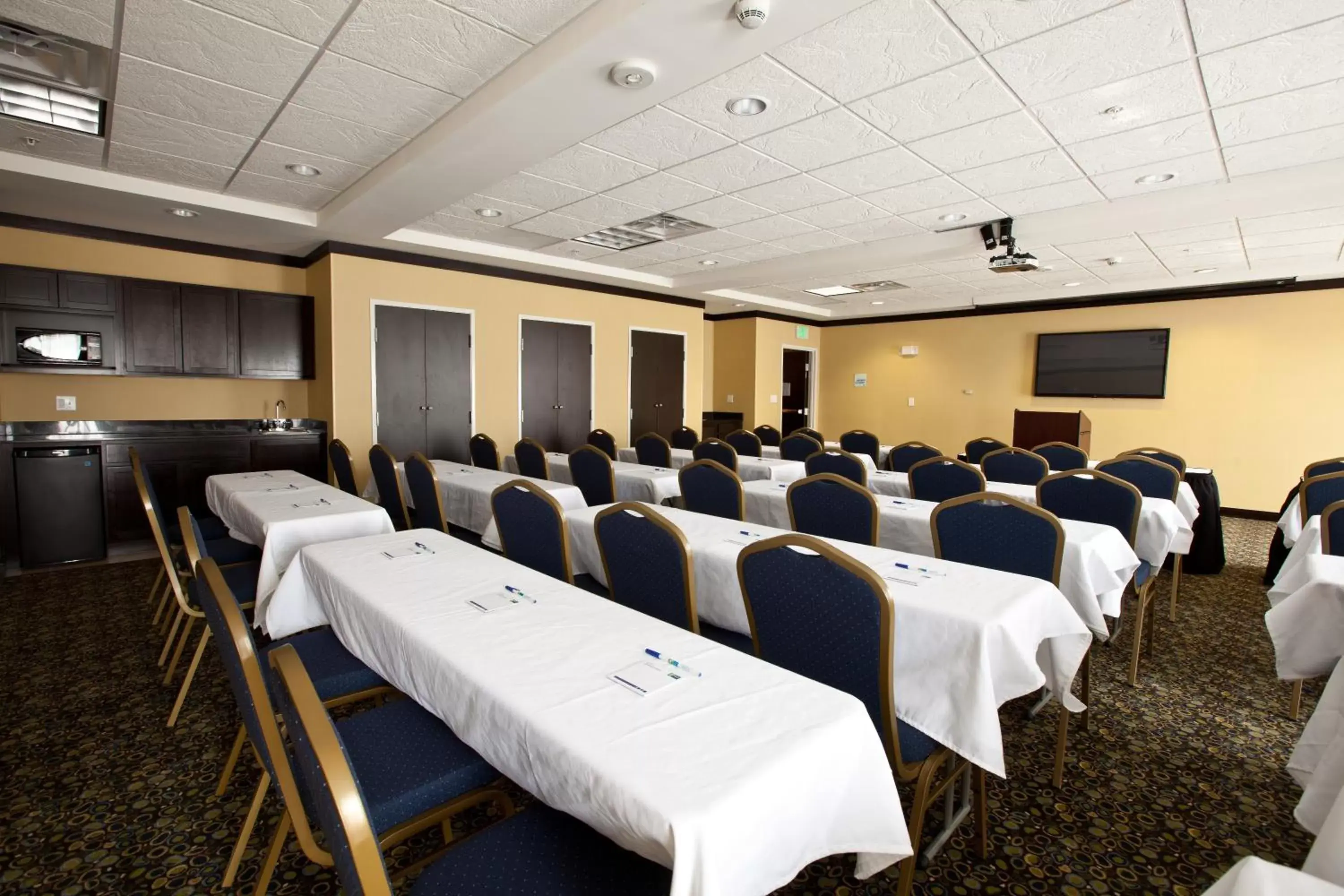 Meeting/conference room in Holiday Inn Express and Suites Detroit North-Troy, an IHG Hotel