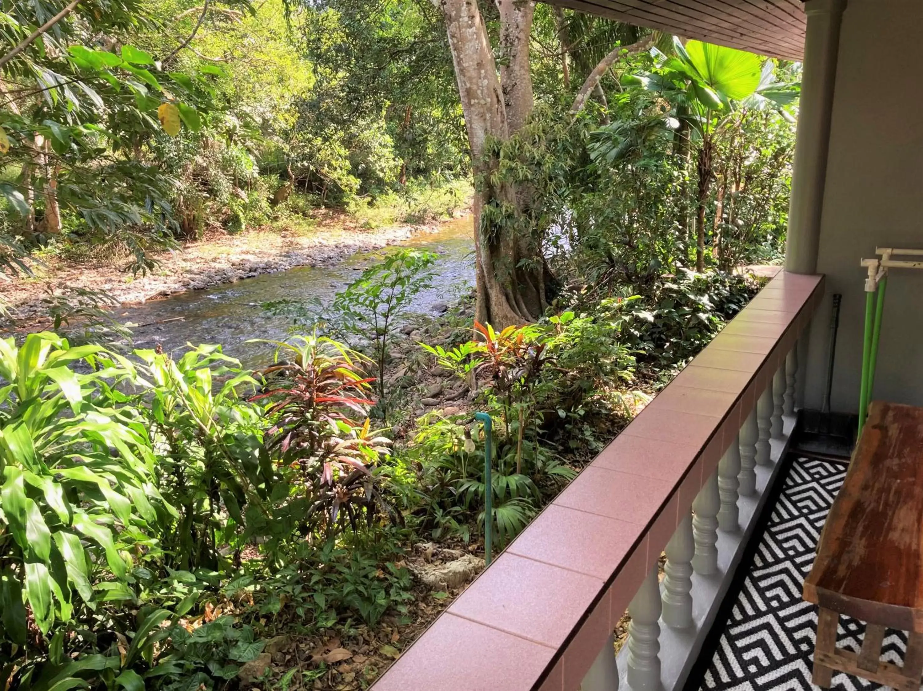 Balcony/Terrace in Khao Sok Morning Mist Resort