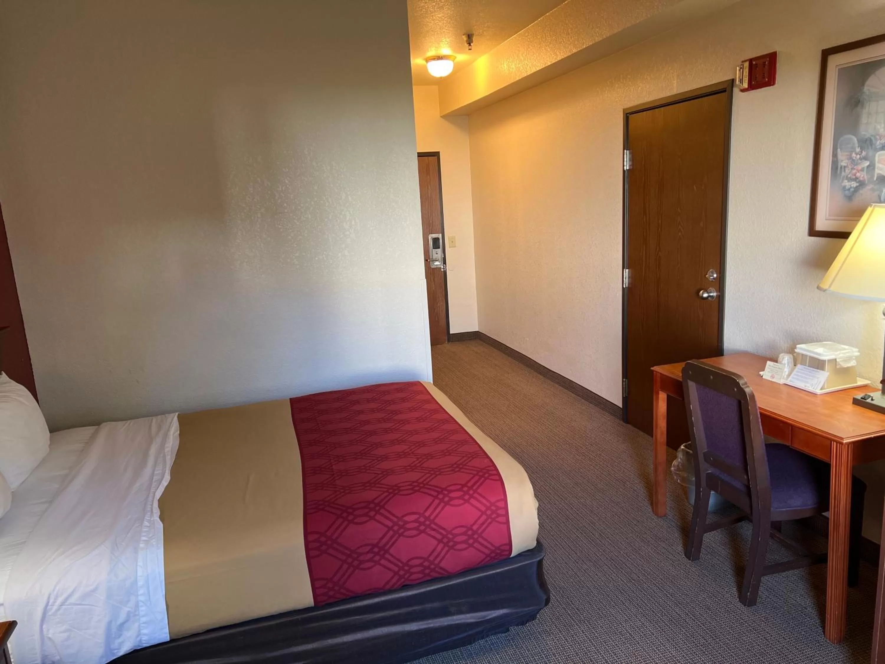 Bed in Express Inn & suites