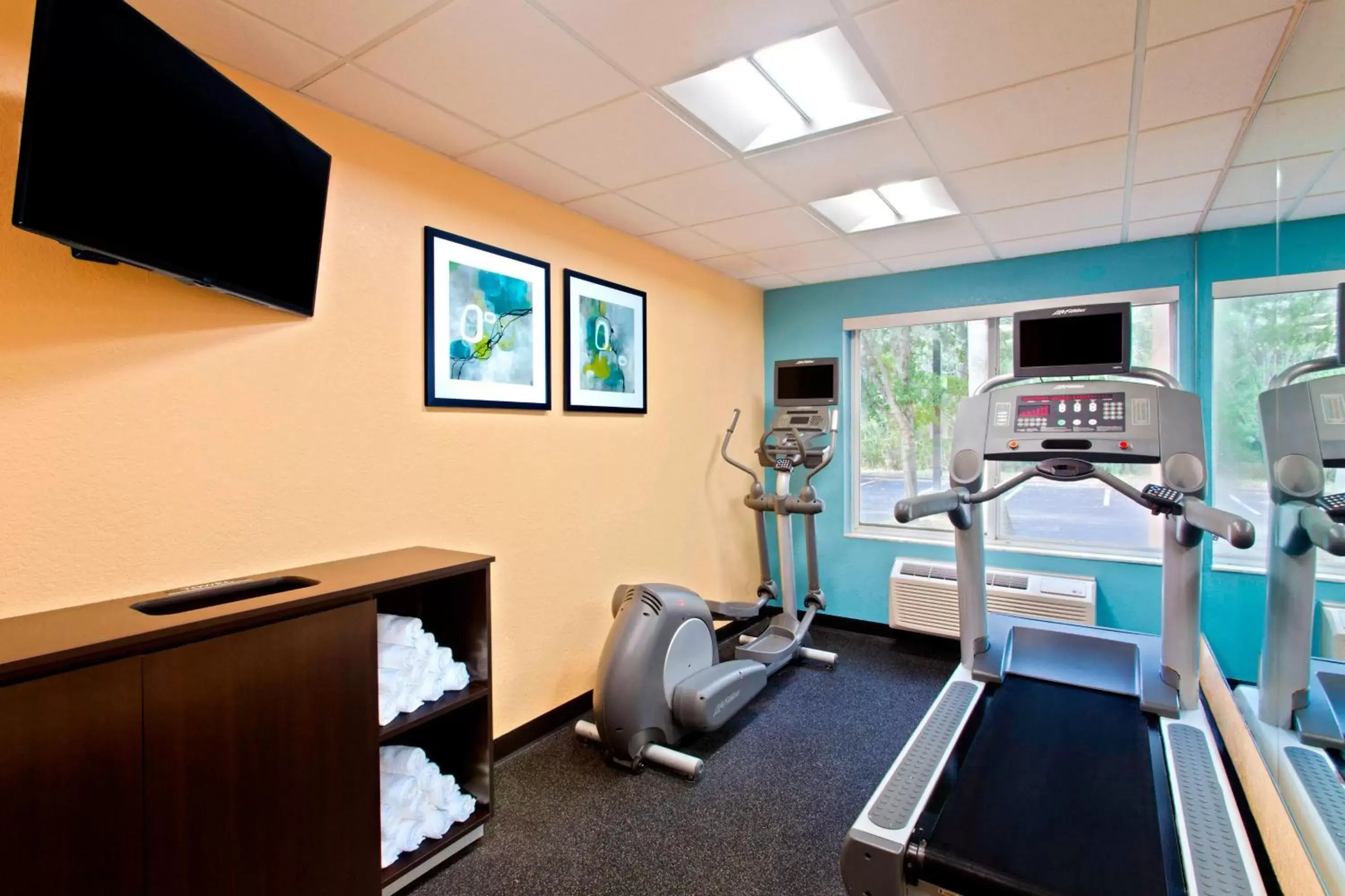 Fitness centre/facilities, Fitness Center/Facilities in Fairfield Inn and Suites by Marriott Tampa Brandon