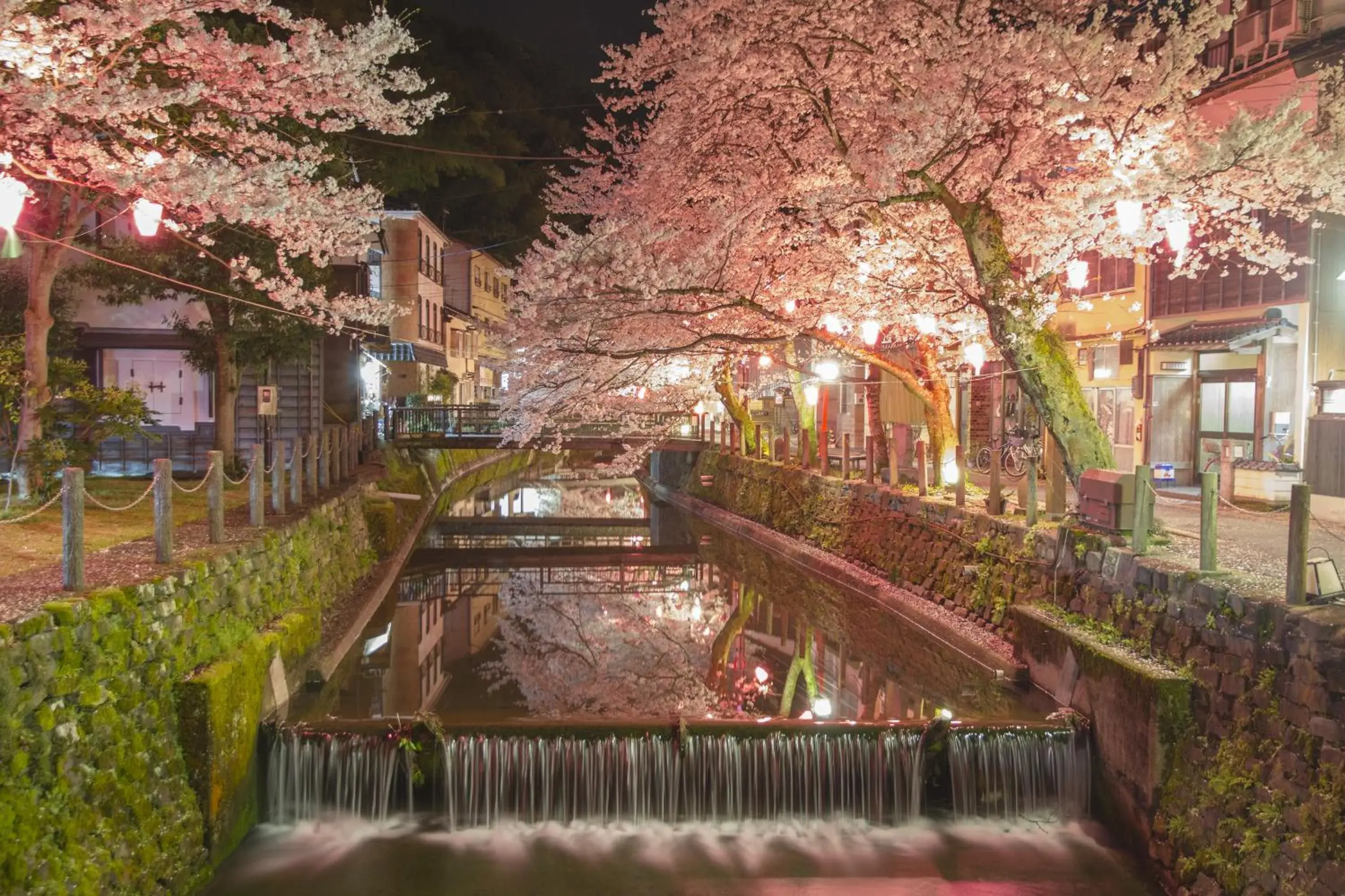 Spring in Mikuniya Ryokan