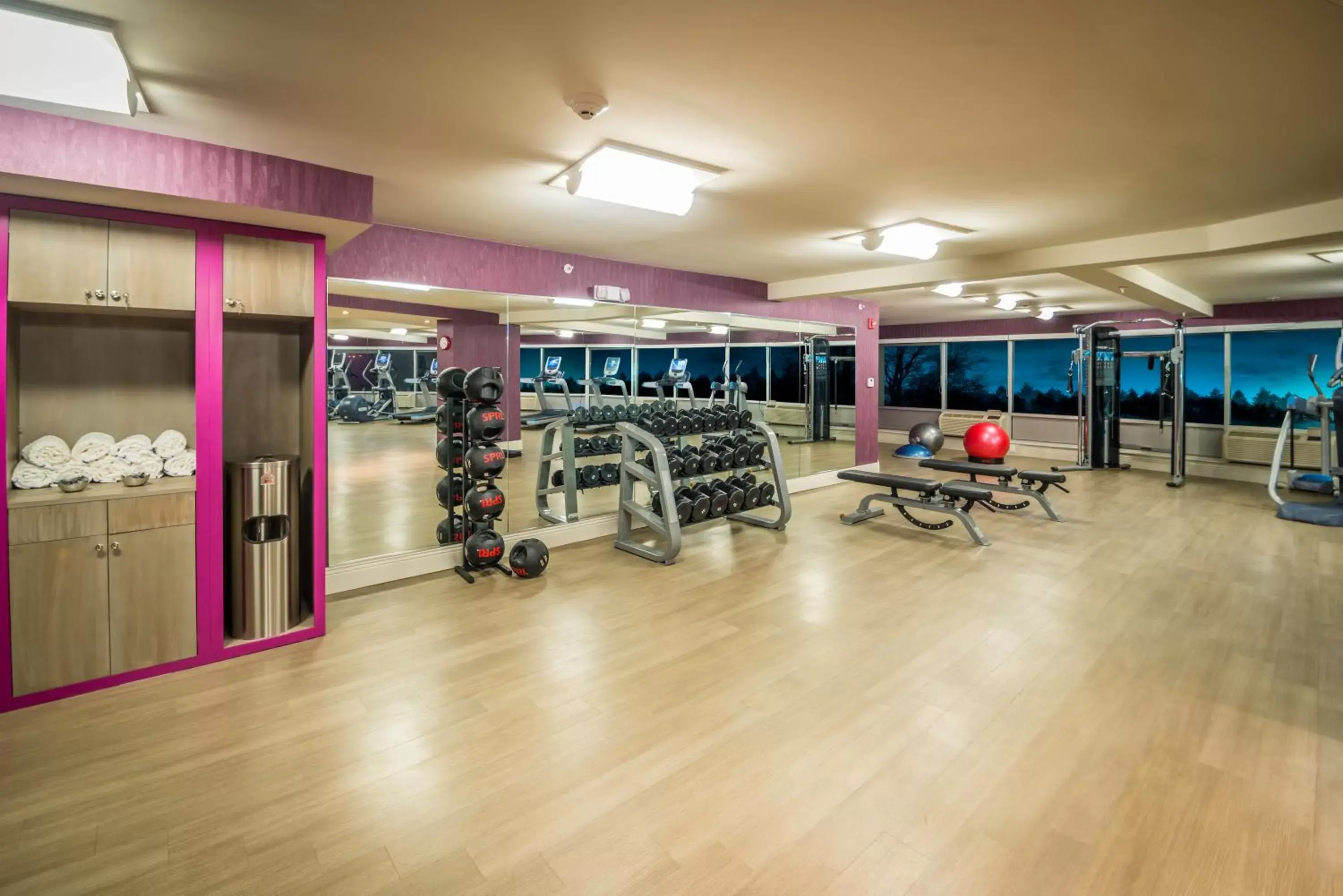 Fitness centre/facilities in Crowne Plaza Saddle Brook, an IHG Hotel