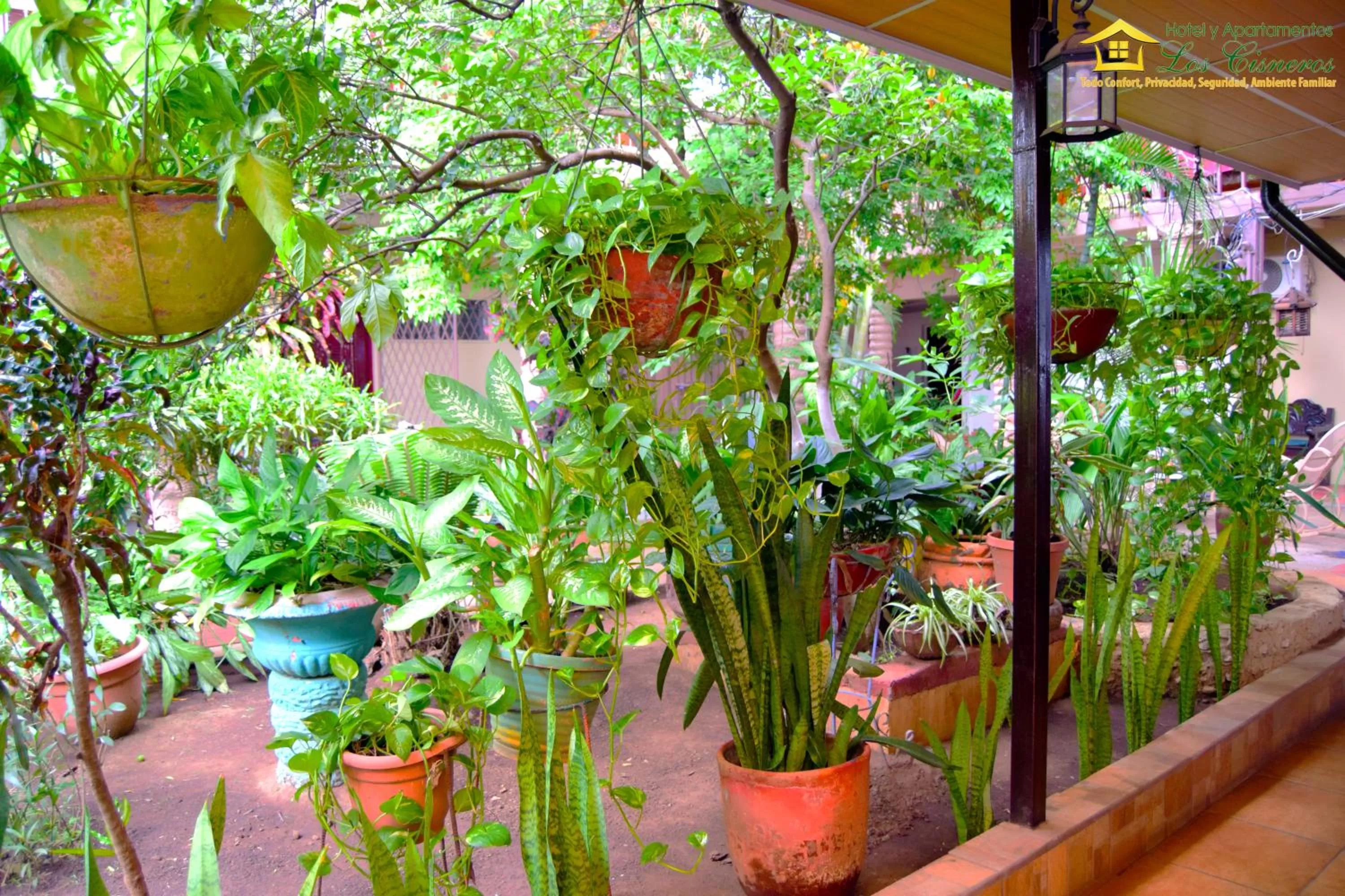 Natural landscape in Hotel y Apartments Los Cisneros