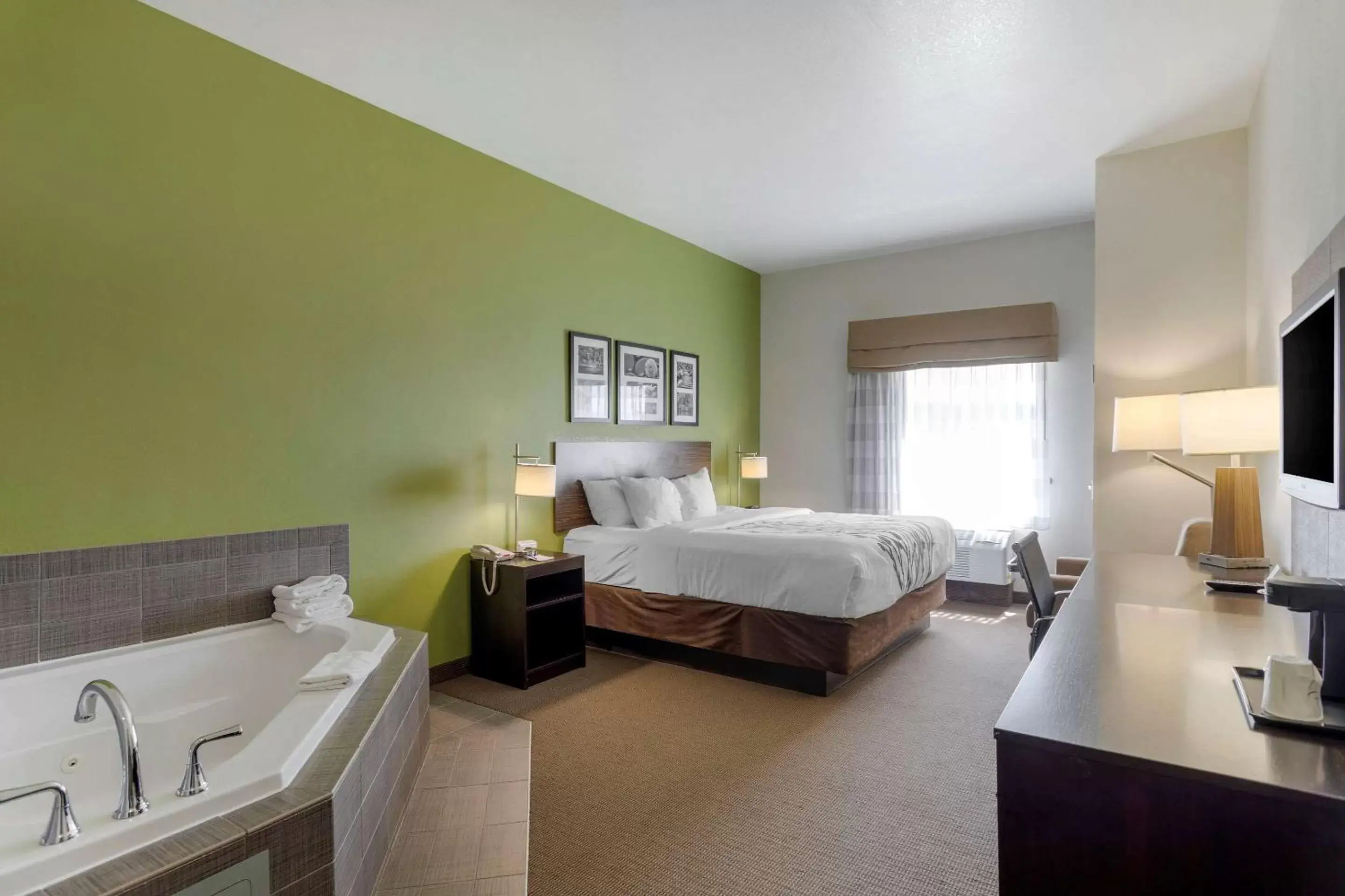 King Suite - Non-Smoking in Sleep Inn & Suites Cave City