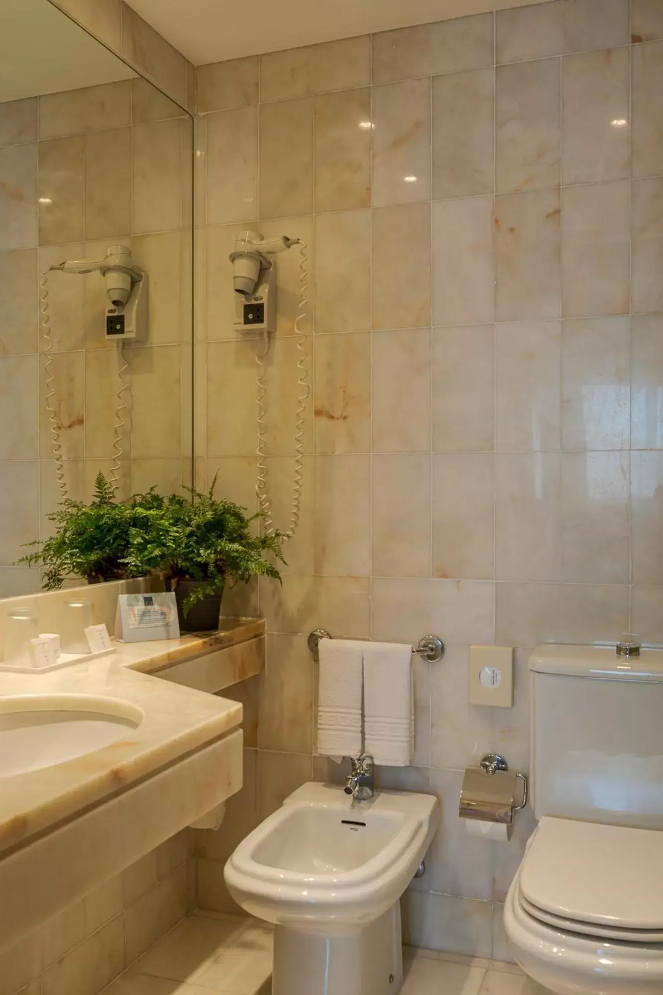 Toilet, Bathroom in Hotel Dom Carlos Park