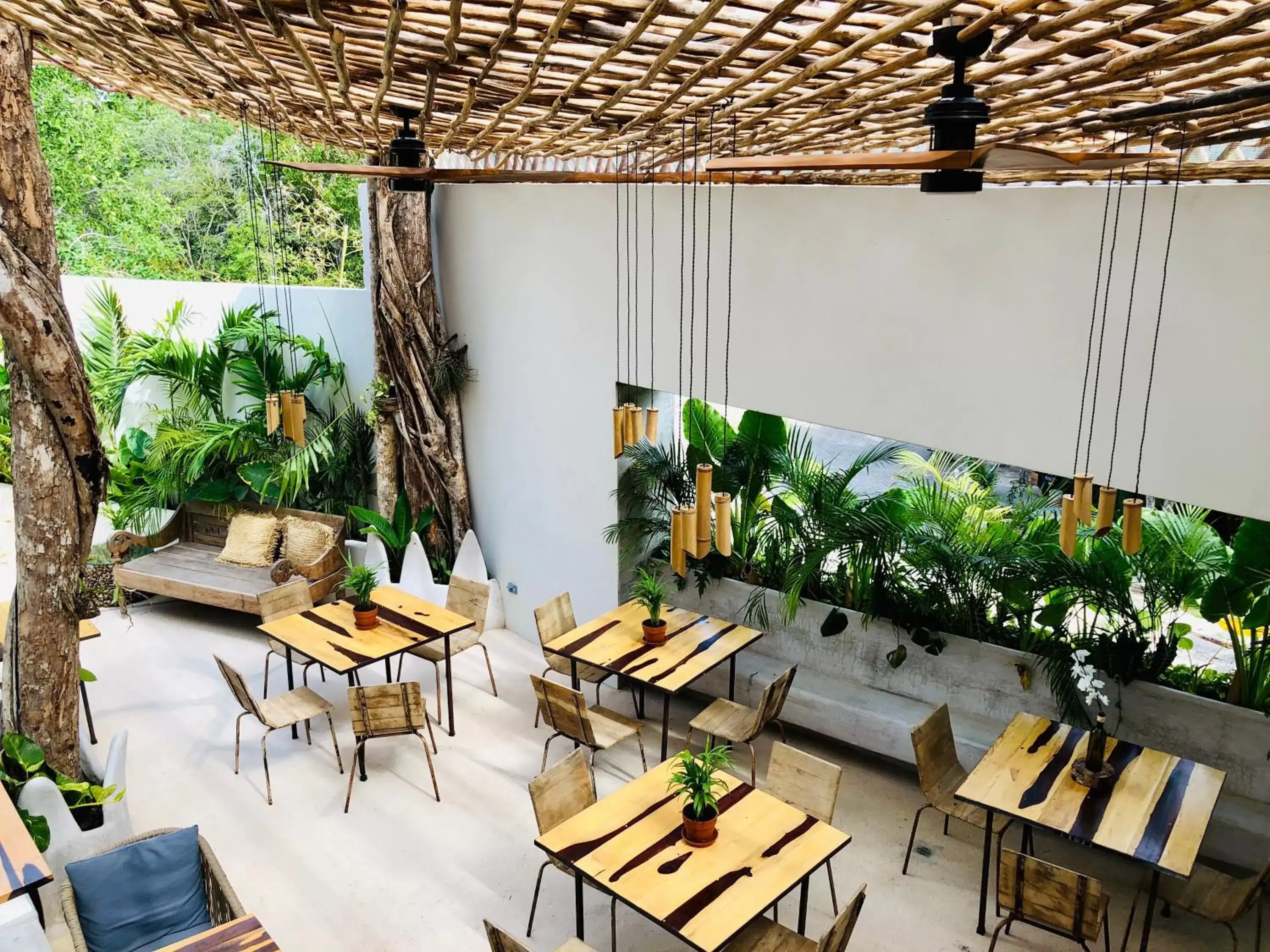 Restaurant/places to eat in Orchid House Tulum