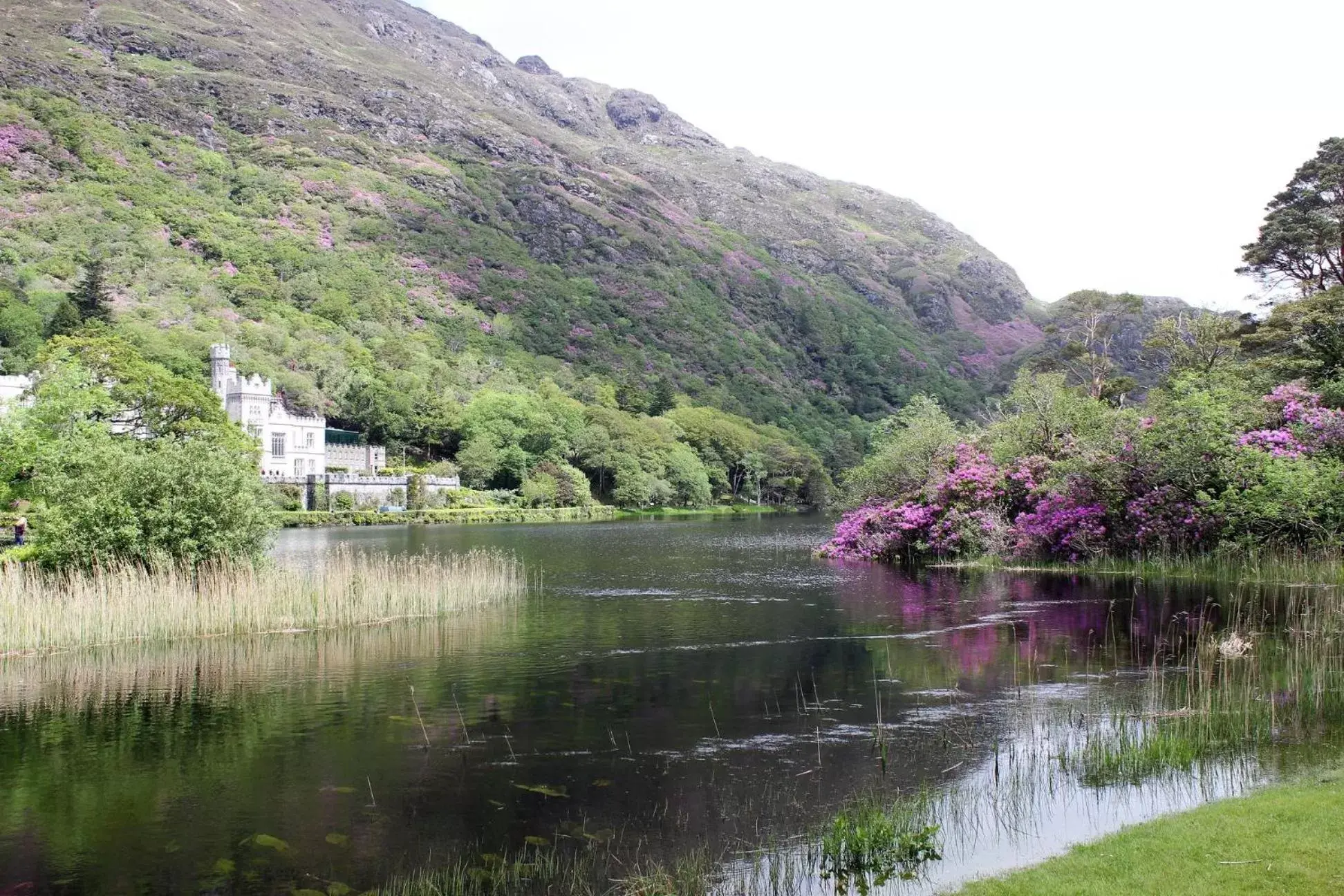 Clifden Bay Lodge