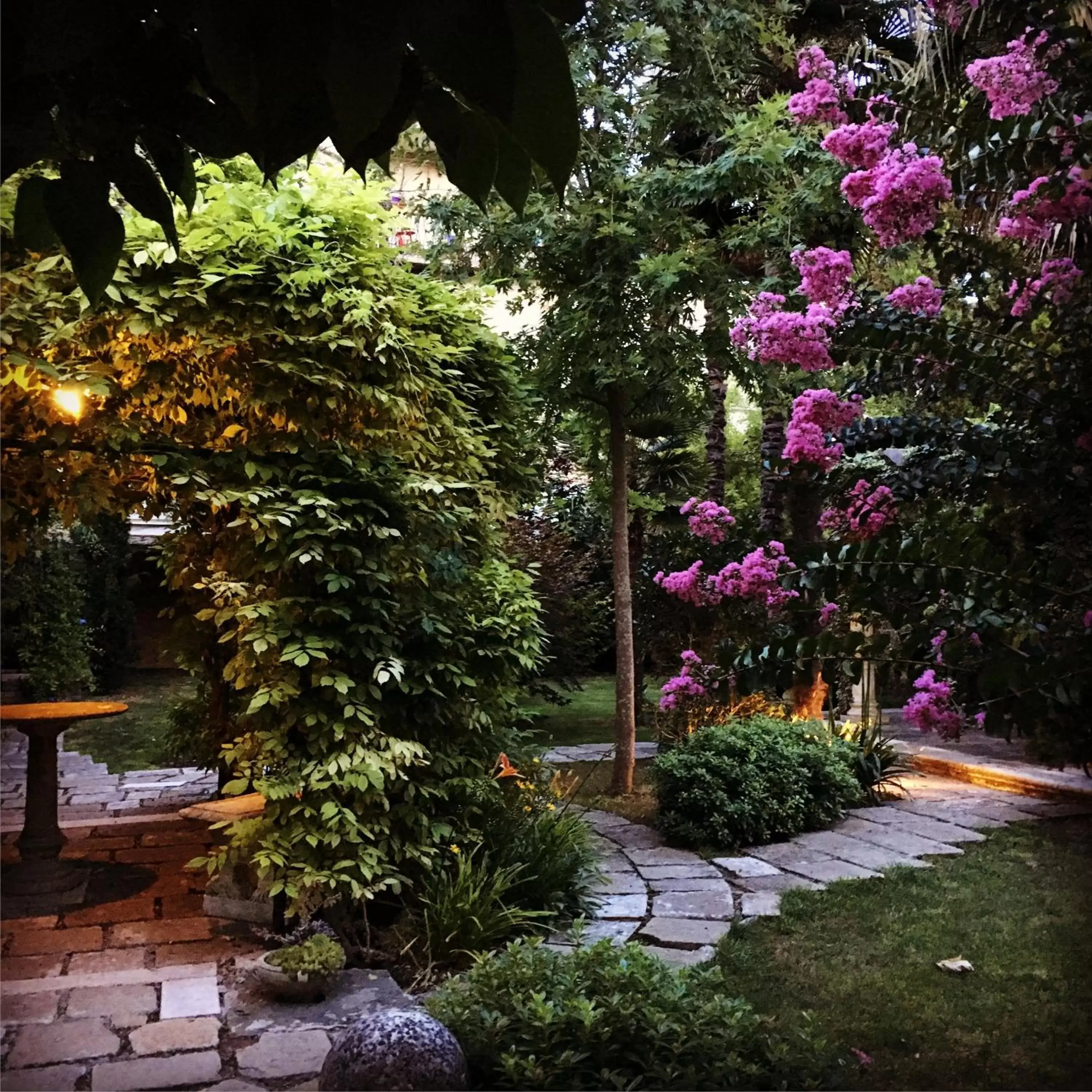 Day, Garden in Hotel Sant'Antonin