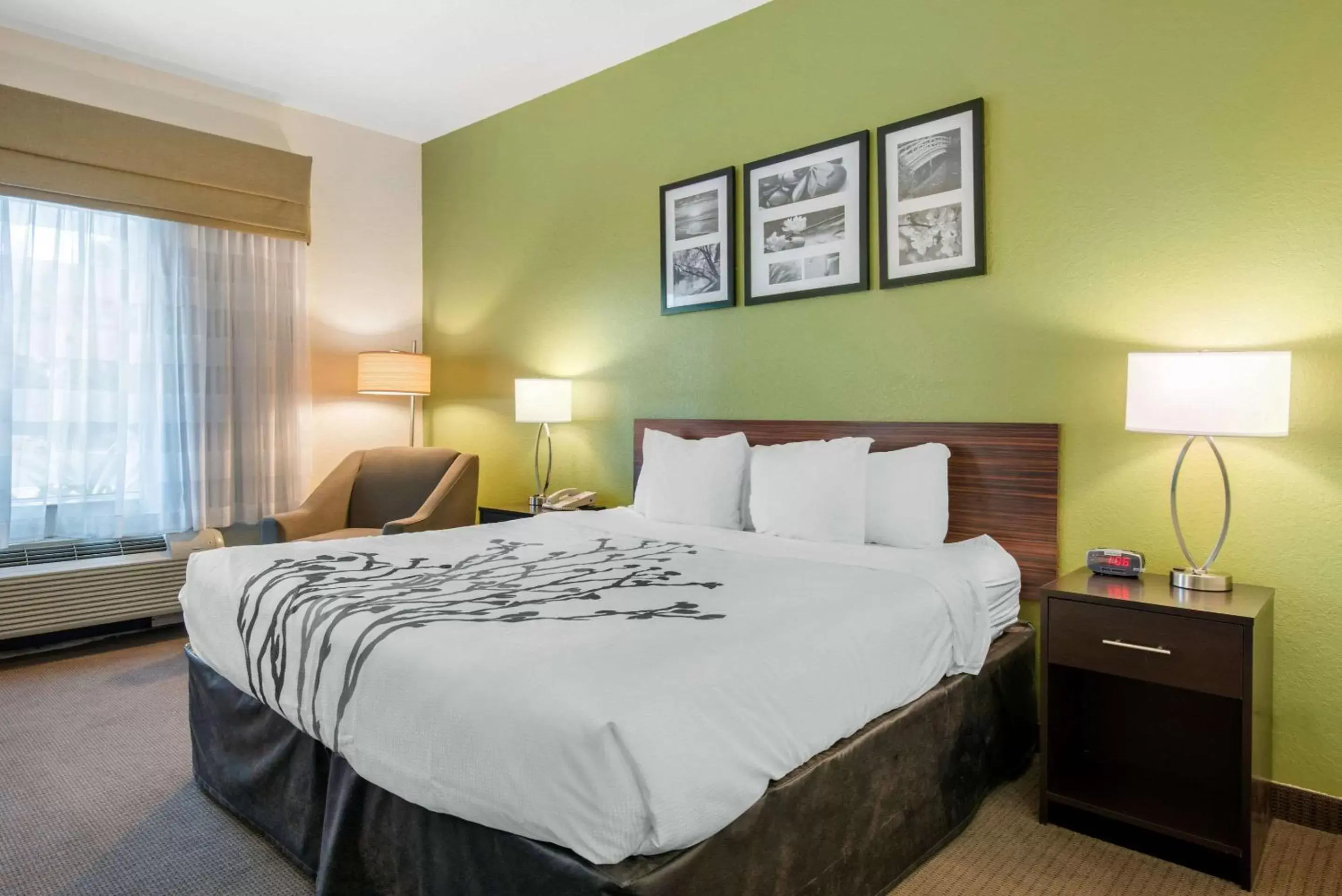 Photo of the whole room, Bed in Sleep Inn & Suites Port Charlotte-Punta Gorda