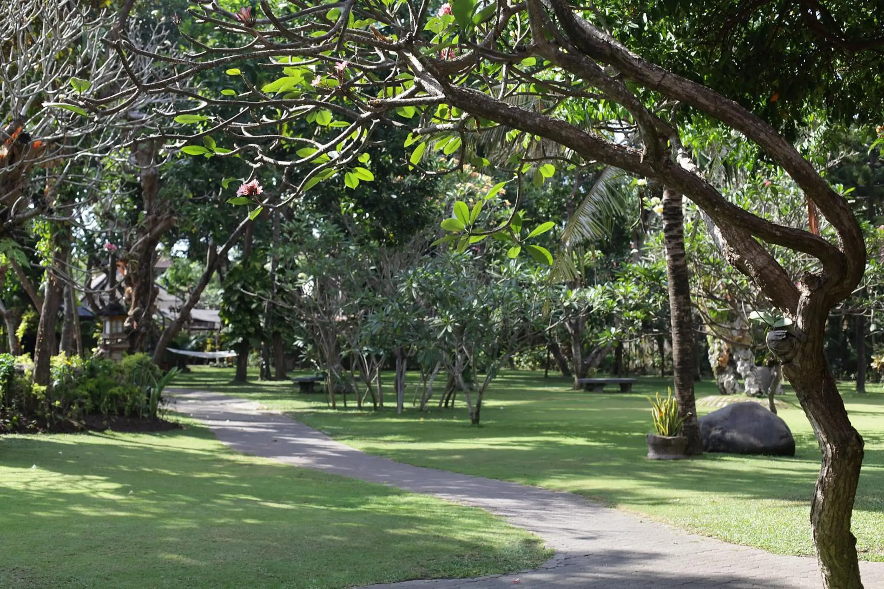 Garden in Matahari Bungalow Hotel