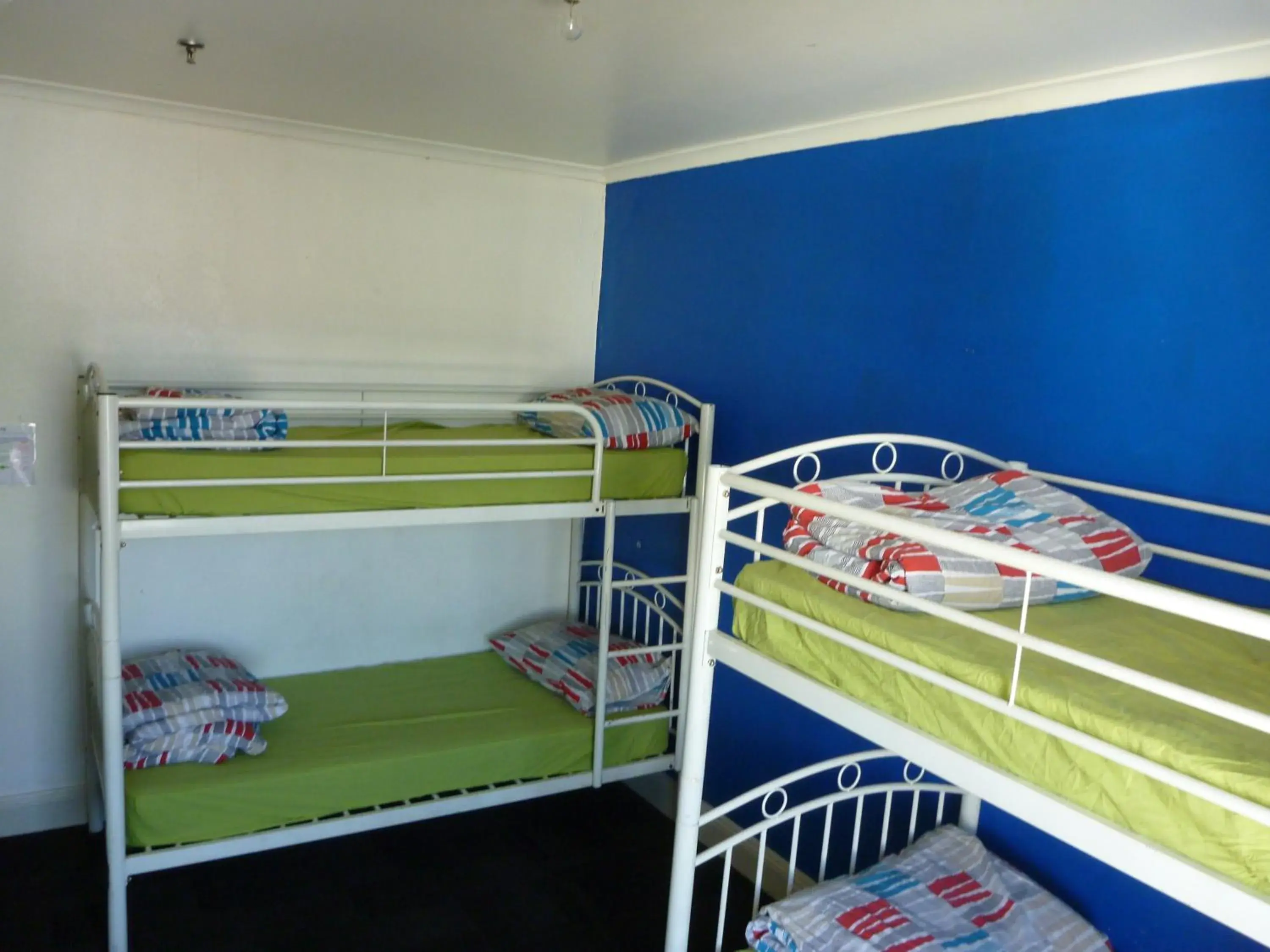 Bunk Bed in Male Dormitory Room  in Adelaide Travellers Inn Backpackers Hostel