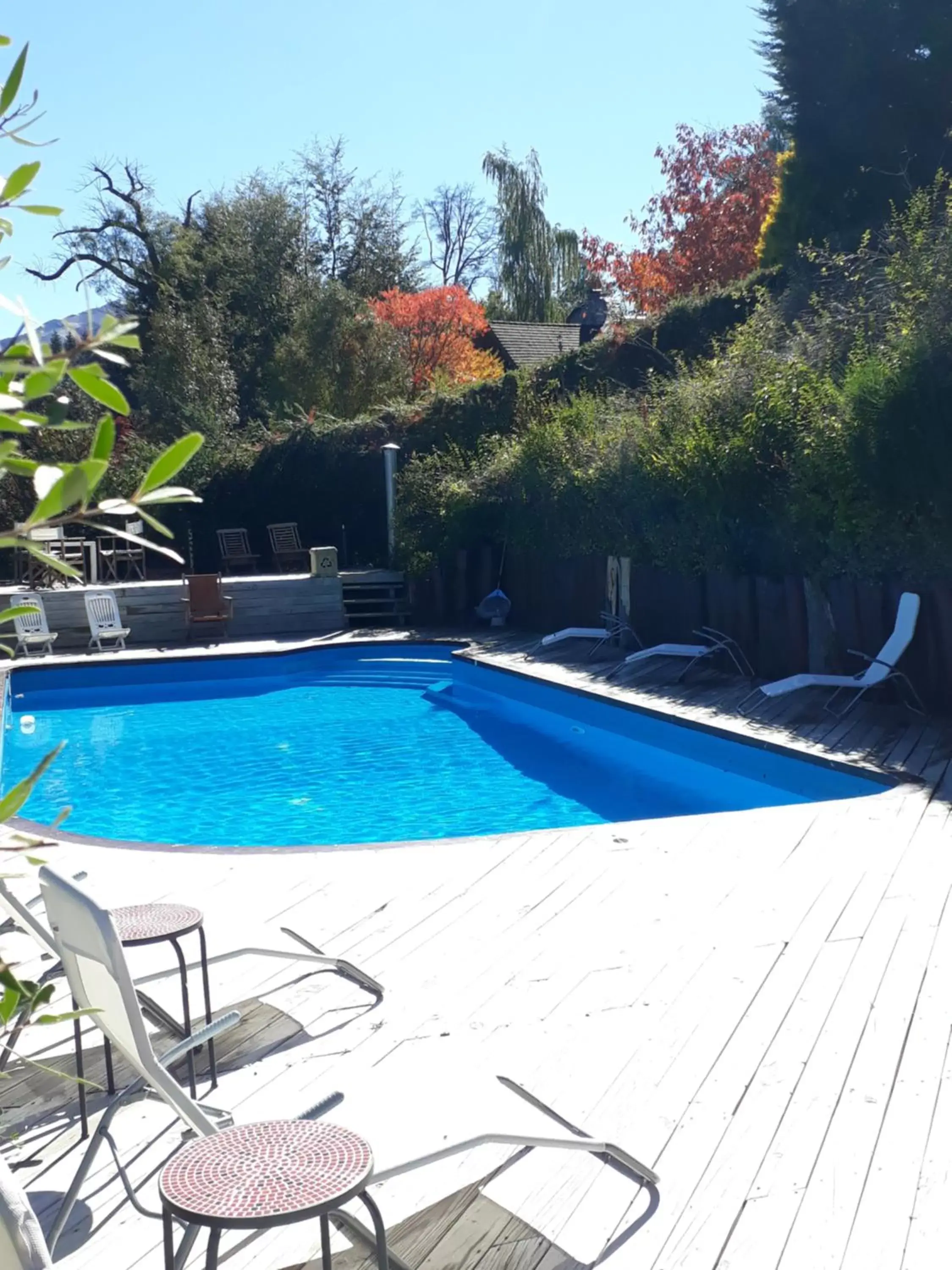 Spring, Swimming Pool in Amigos del Bosque Spring, Swimming Pool in Amigos del Bosque