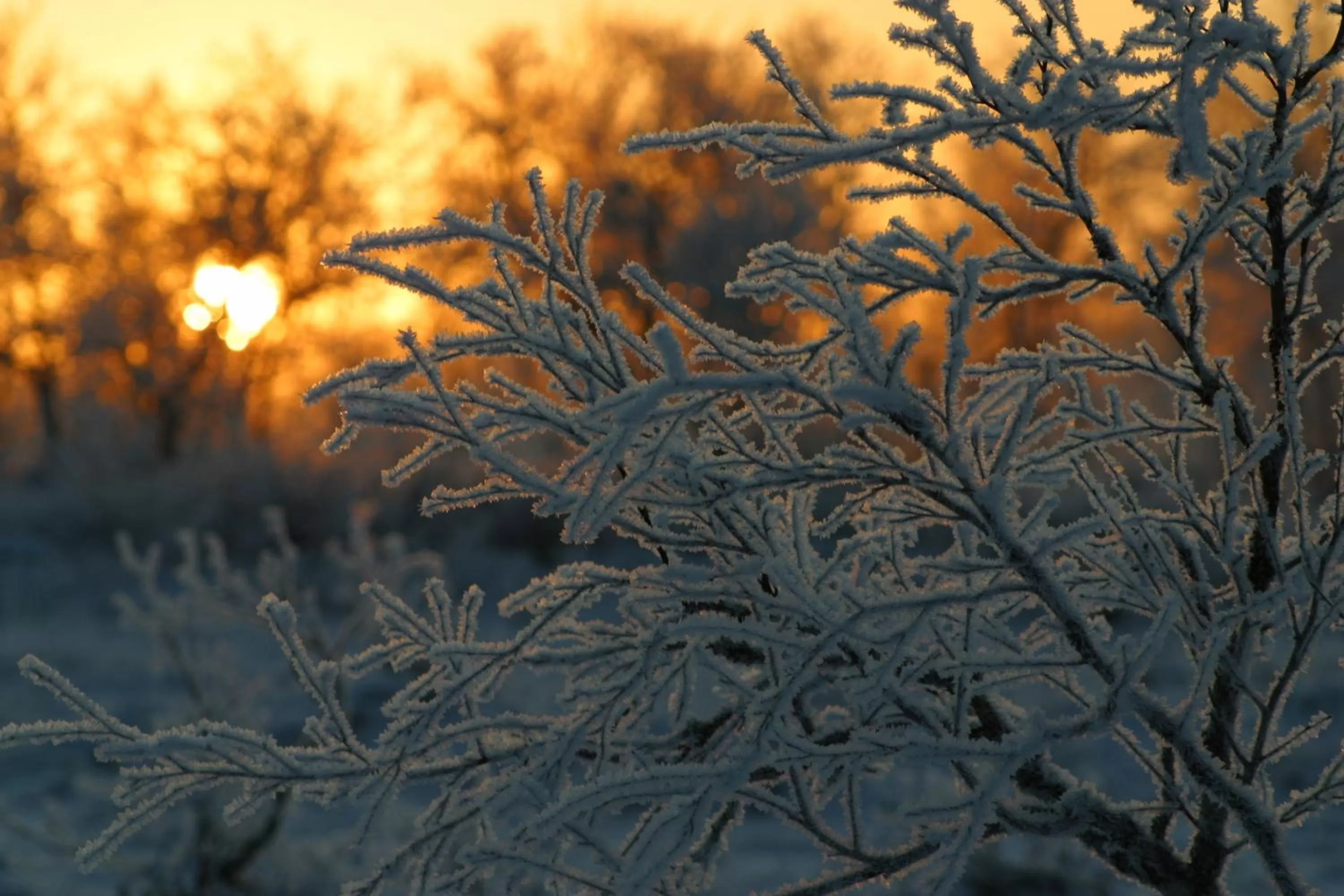 Other in Hotel Ivalo